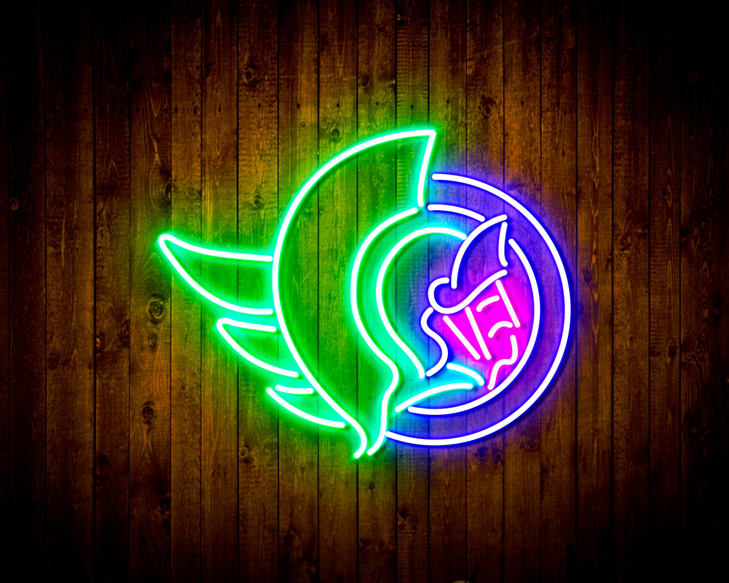 NHL Ottawa Senators Handmade LED Neon Light Sign