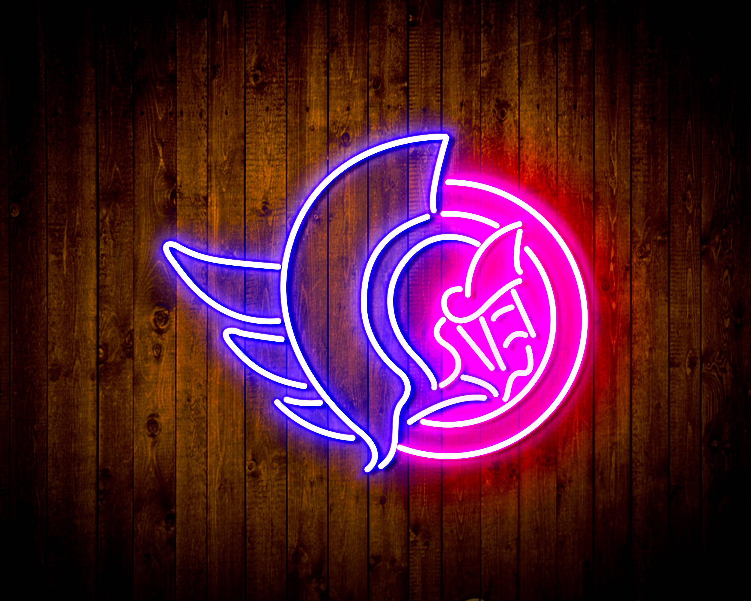 NHL Ottawa Senators Handmade LED Neon Light Sign