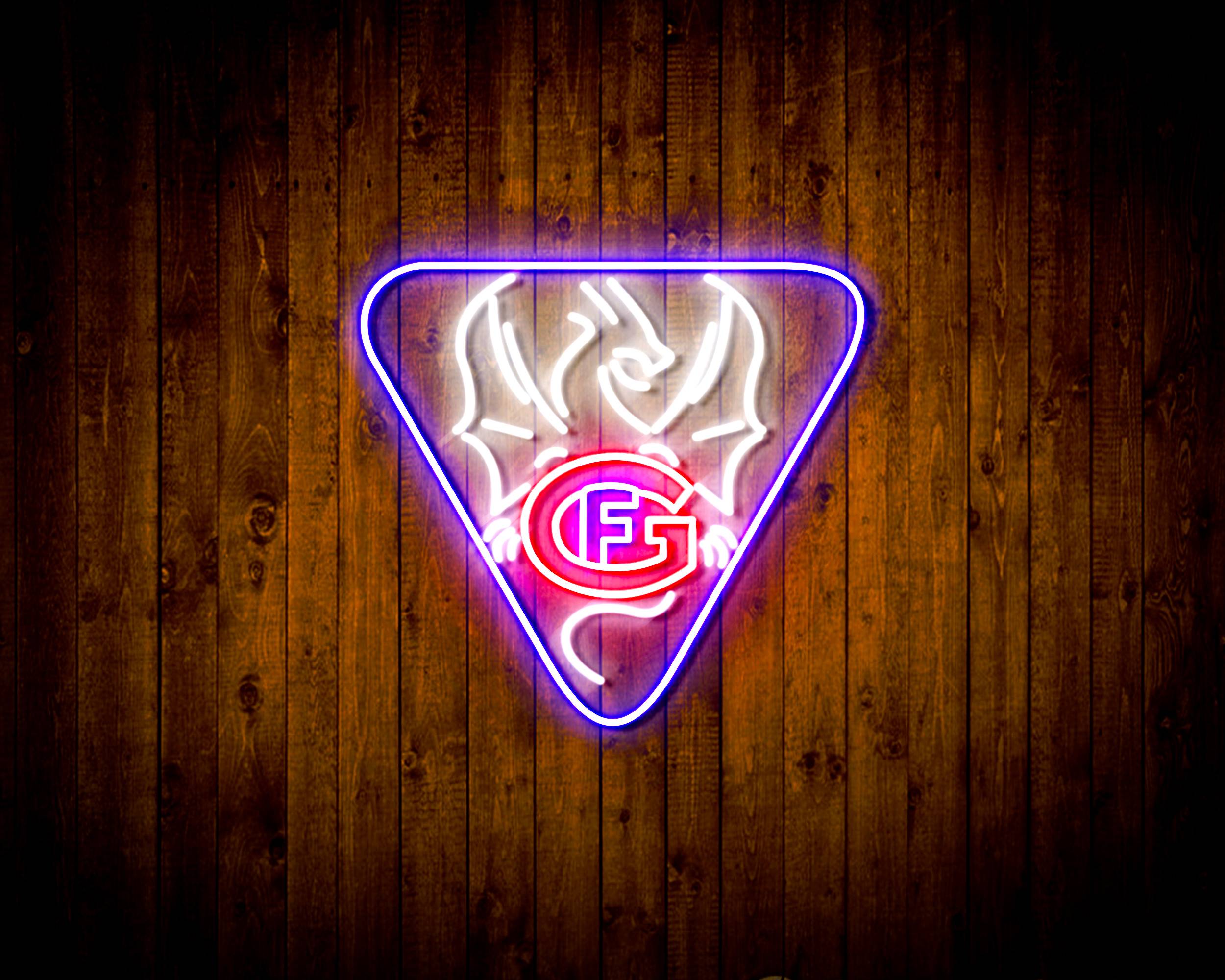 Hockey Club Fribourg-Gott¨¦ron logo Handmade LED Neon Light Sign