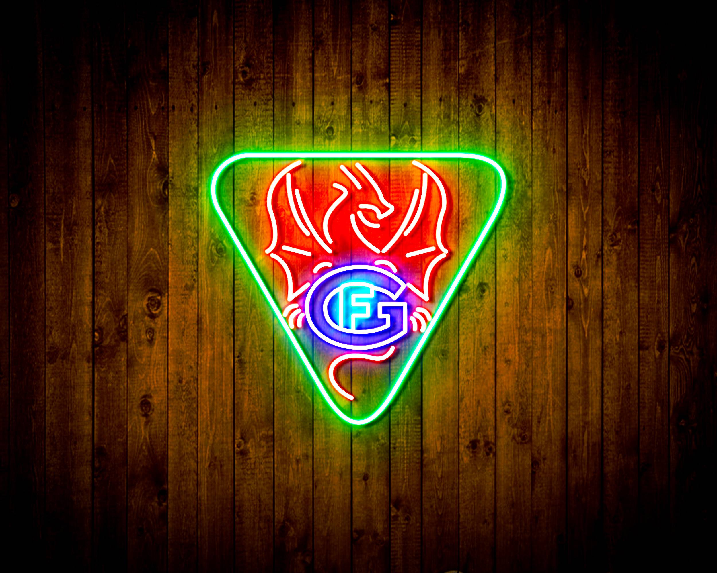 Hockey Club Fribourg-Gott¨¦ron logo Handmade LED Neon Light Sign