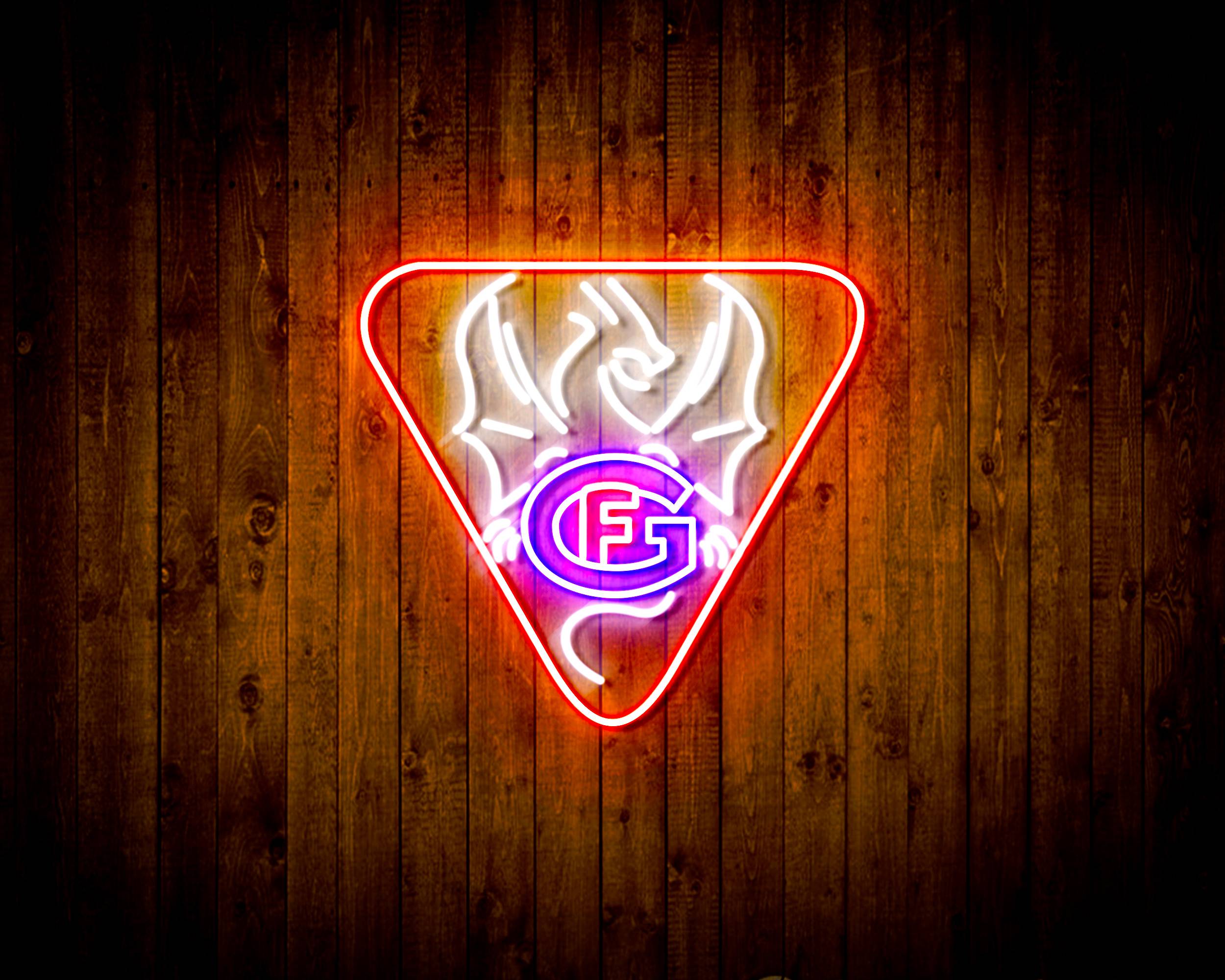 Hockey Club Fribourg-Gott¨¦ron logo Handmade LED Neon Light Sign