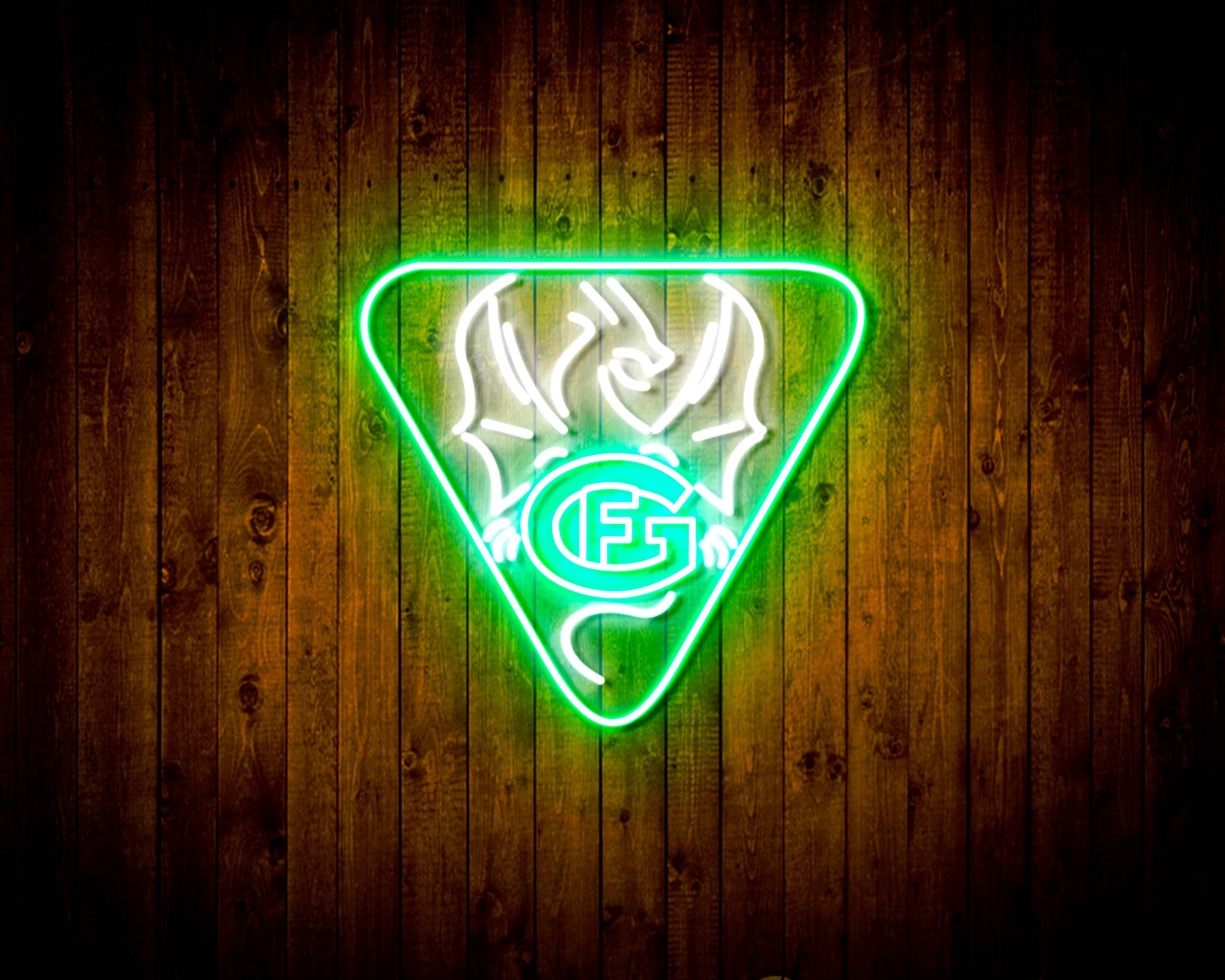 Hockey Club Fribourg-Gott¨¦ron logo Handmade LED Neon Light Sign