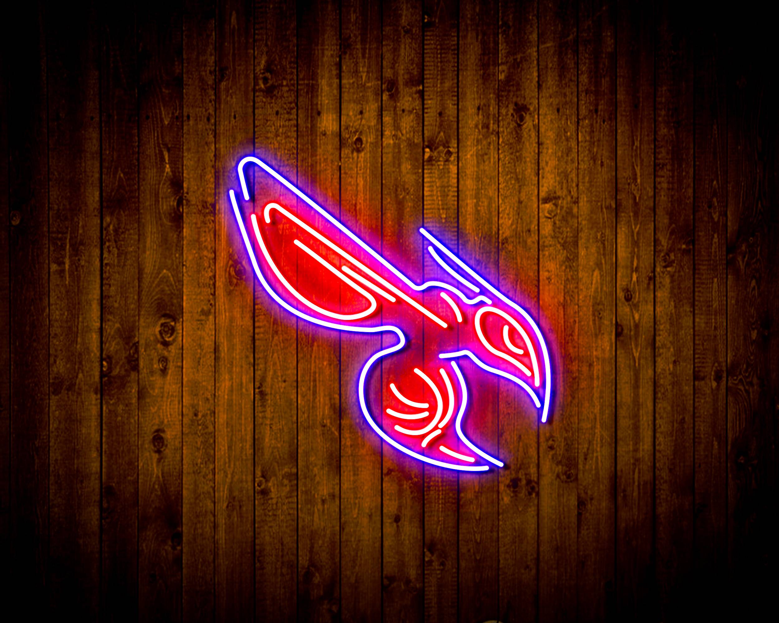 NBA Charlotte Hornets Handmade LED Neon Light Sign