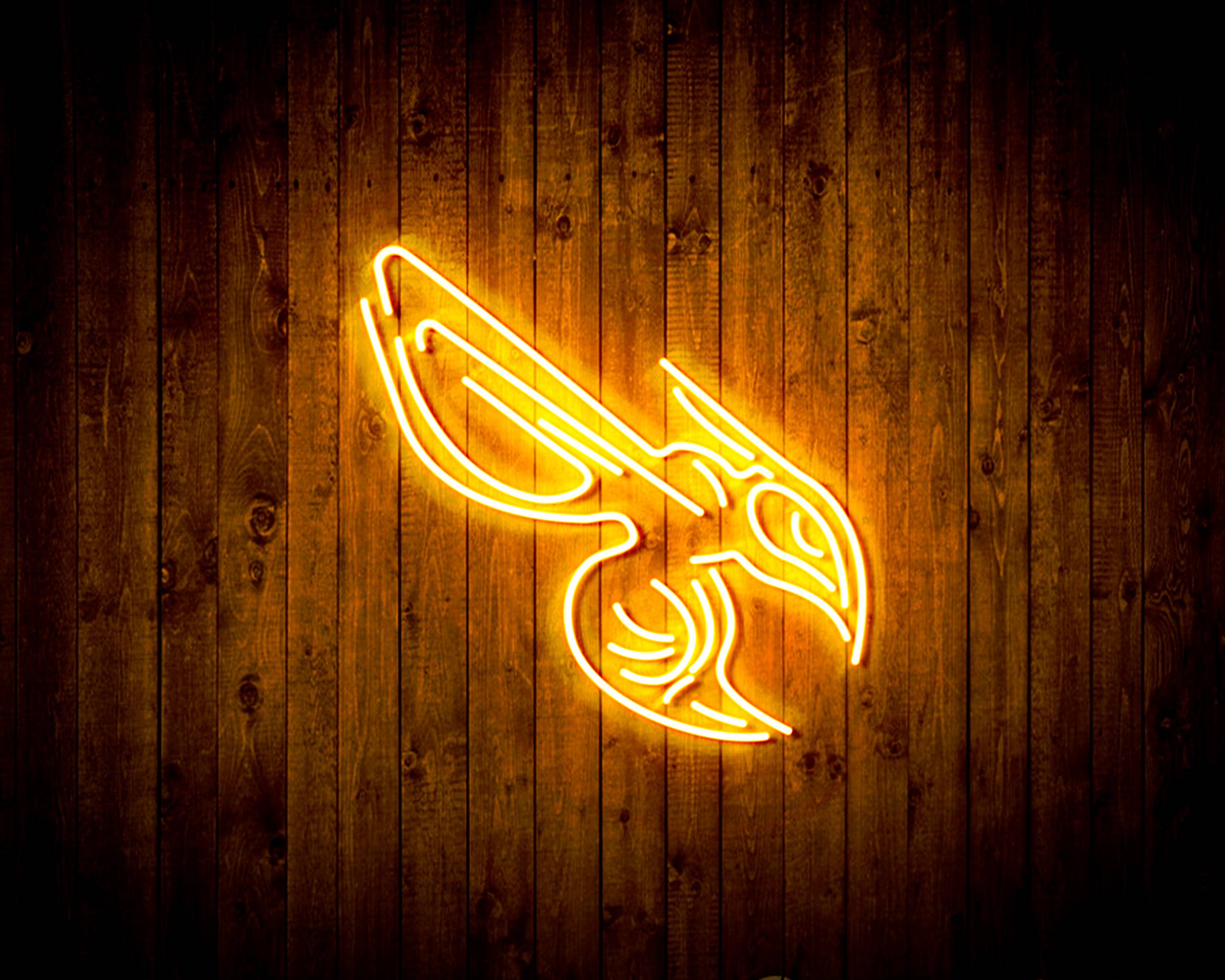 NBA Charlotte Hornets Handmade LED Neon Light Sign