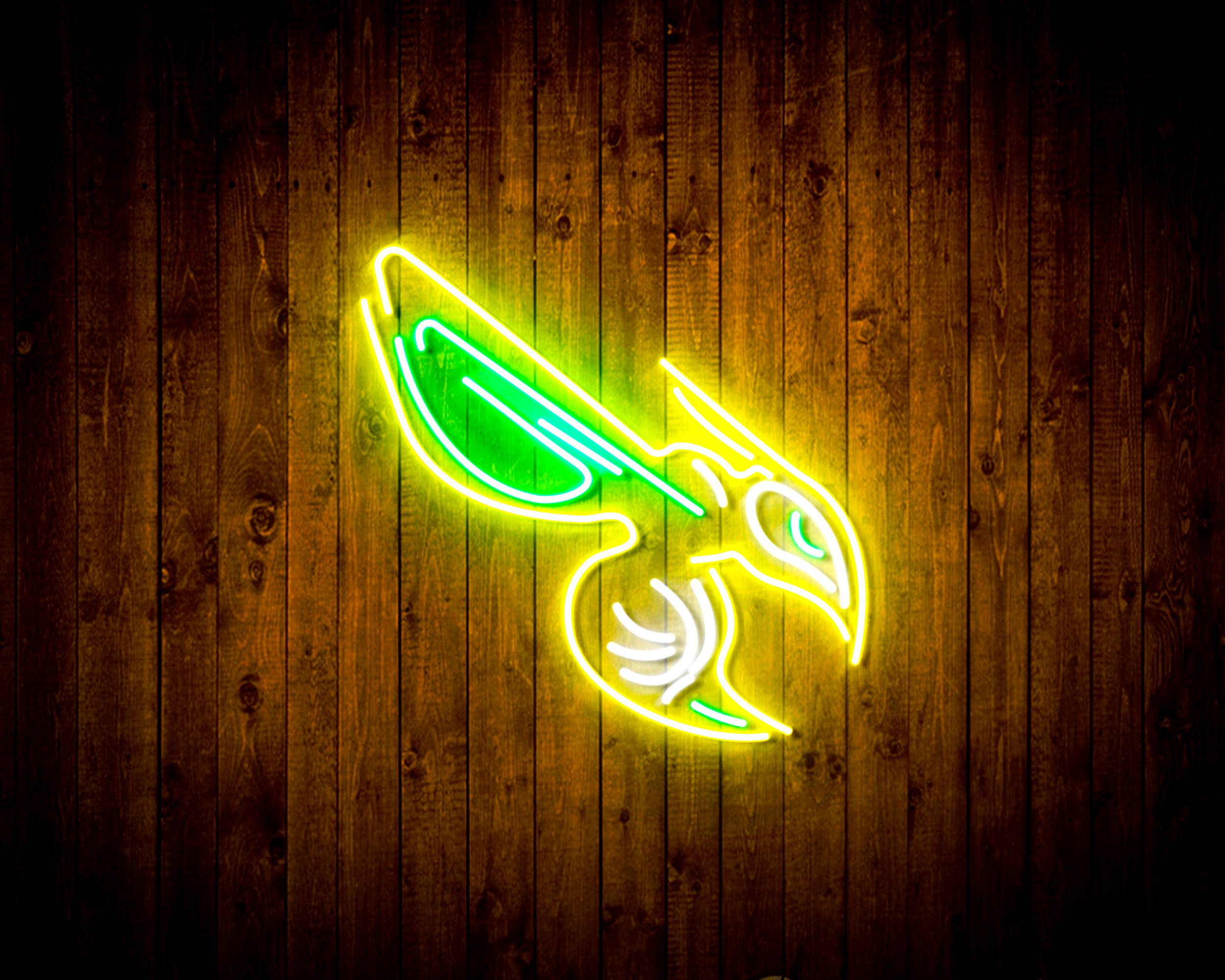 NBA Charlotte Hornets Handmade LED Neon Light Sign