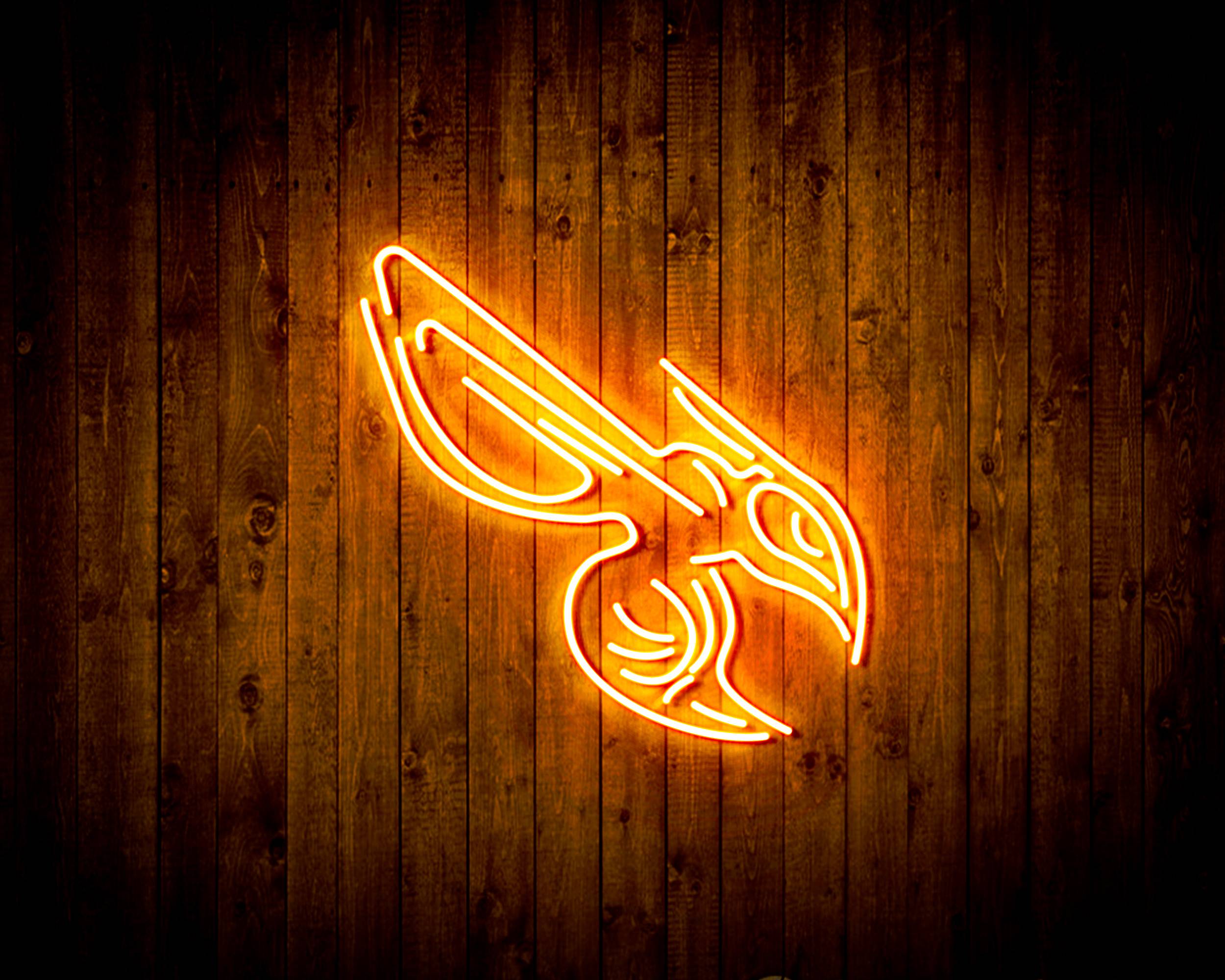 NBA Charlotte Hornets Handmade LED Neon Light Sign