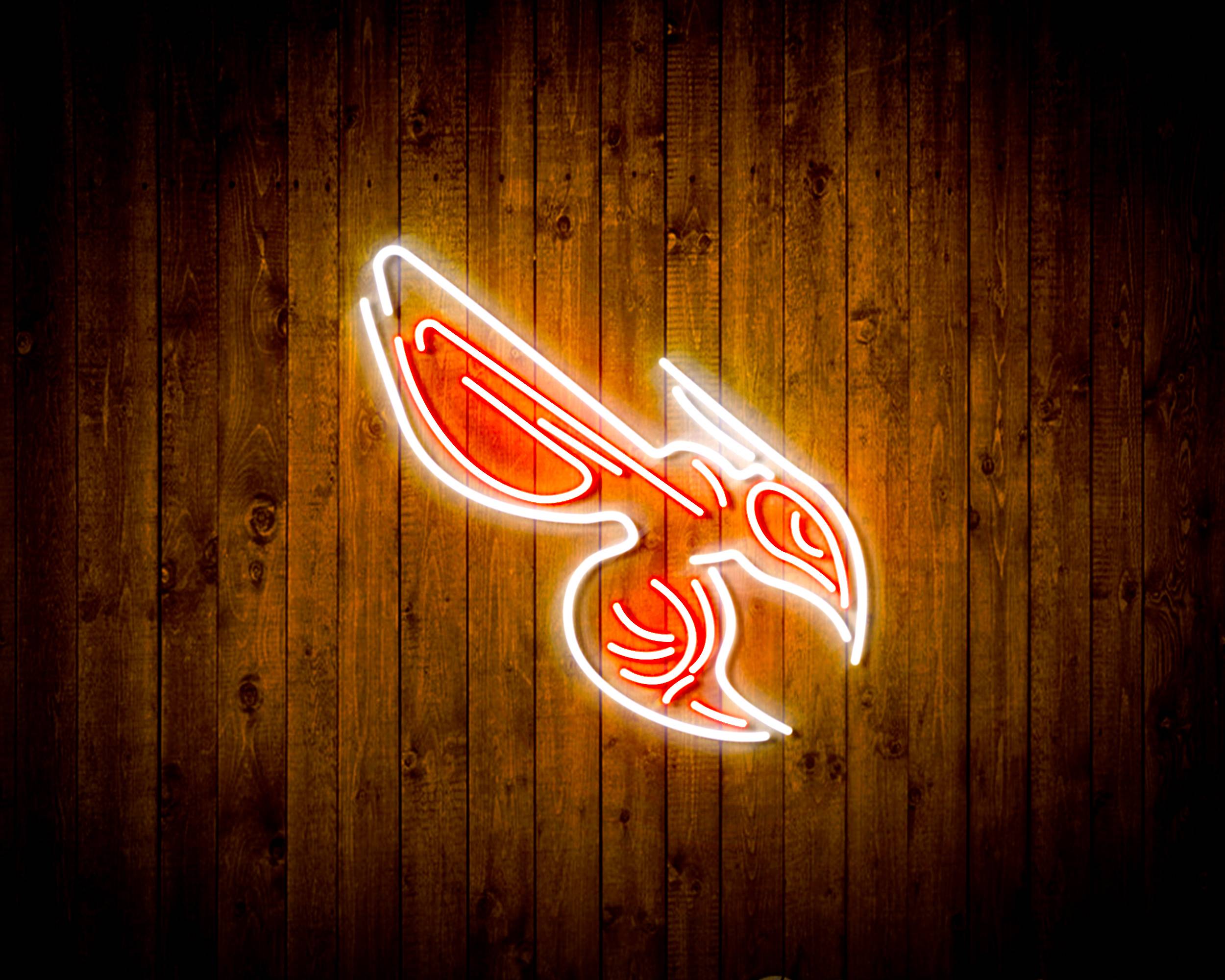 NBA Charlotte Hornets Handmade LED Neon Light Sign