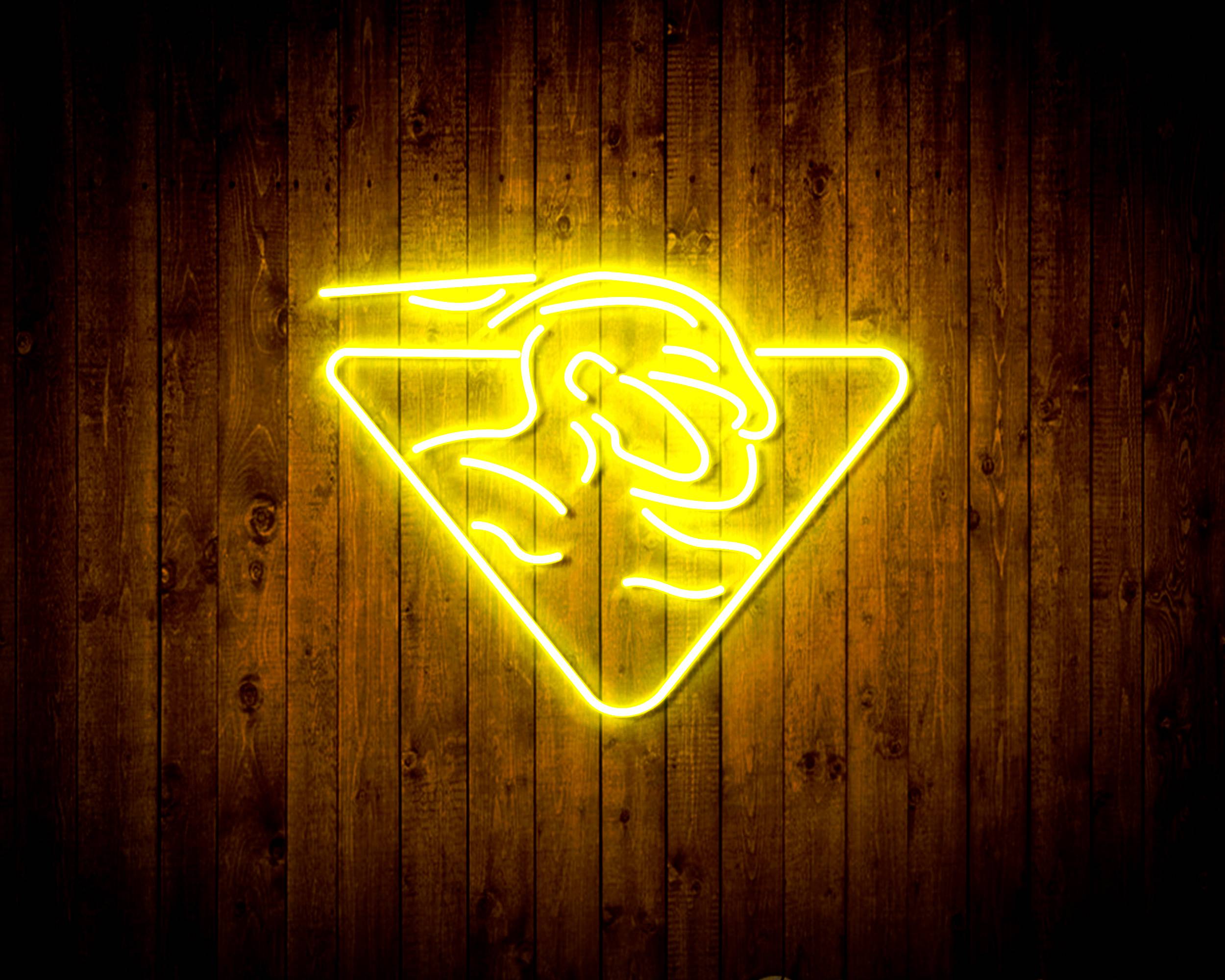 Golden State Warriors Handmade LED Neon Light Sign