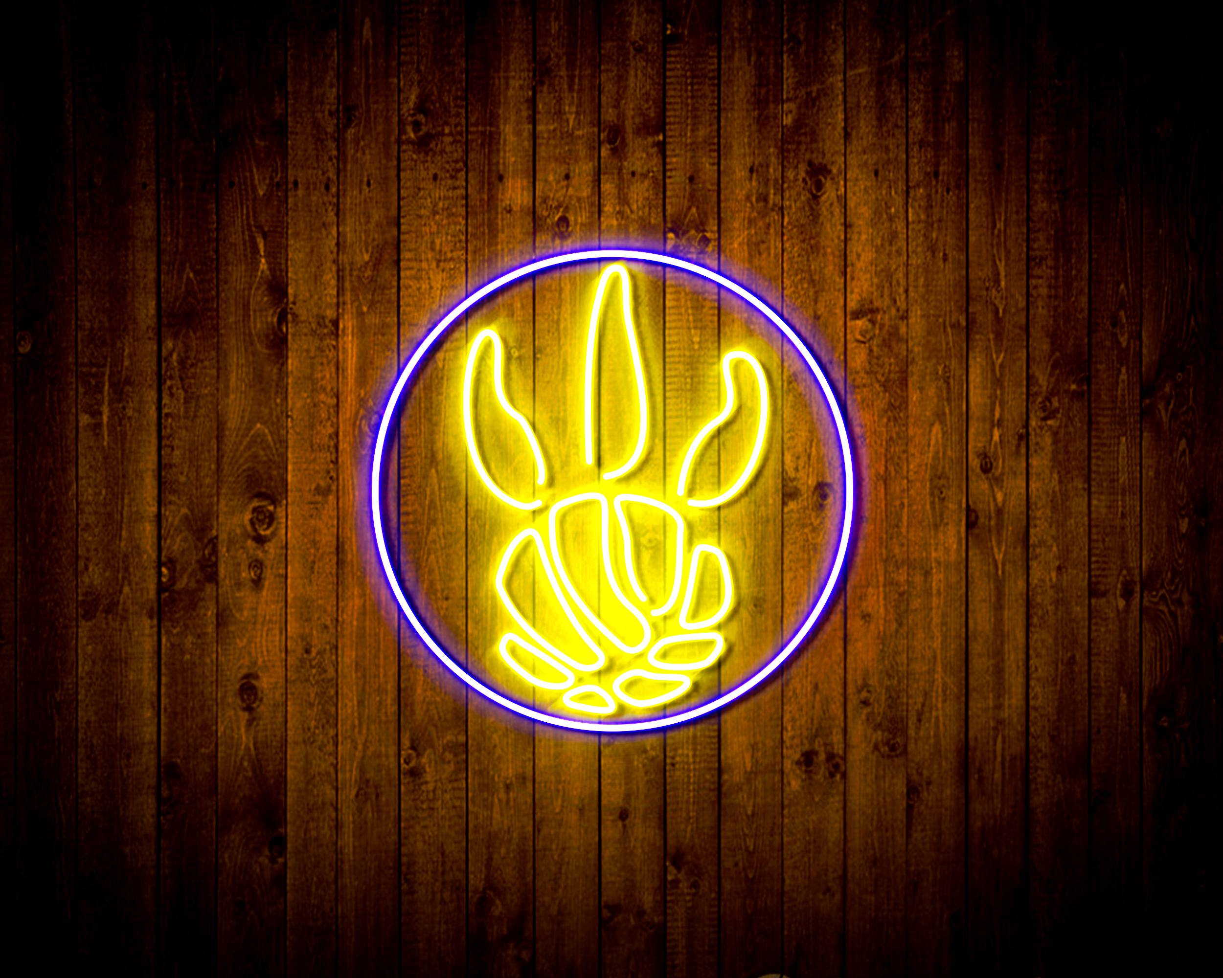 NBA Toronto Raptors Handmade LED Neon Light Sign