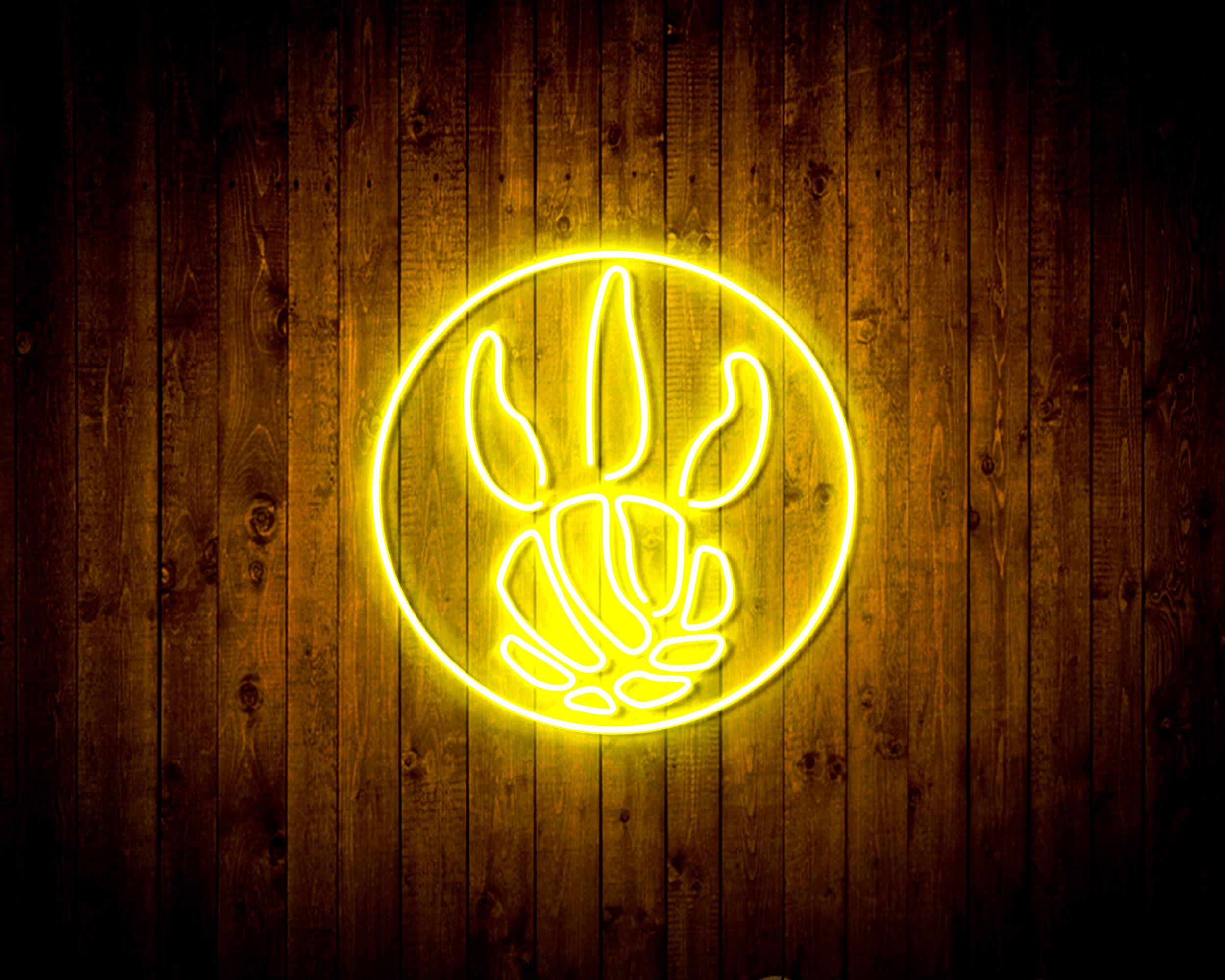 NBA Toronto Raptors Handmade LED Neon Light Sign