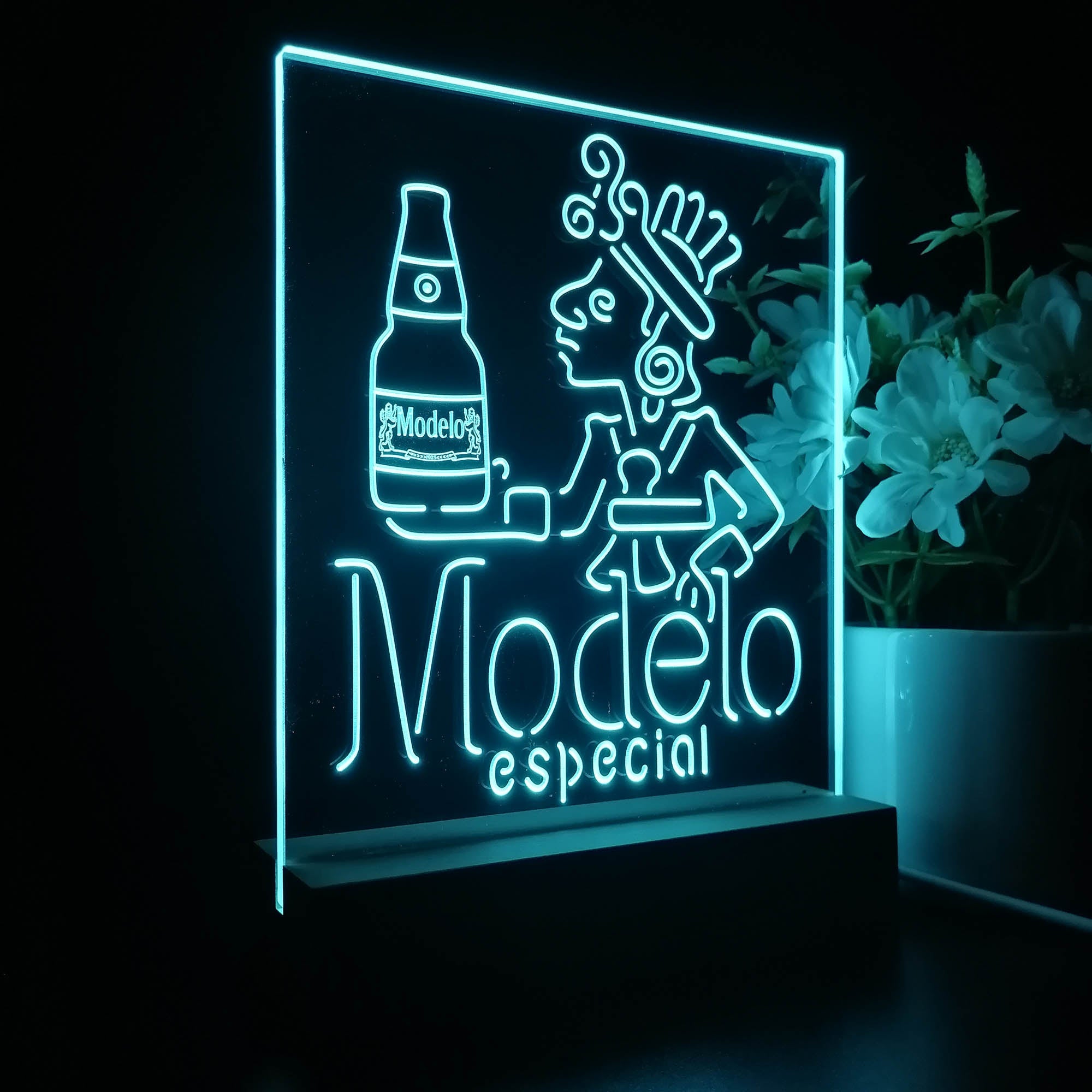 Modelo Especial Adjunct Lager Man Cave 3D LED Illusion Night Light Table Lamp