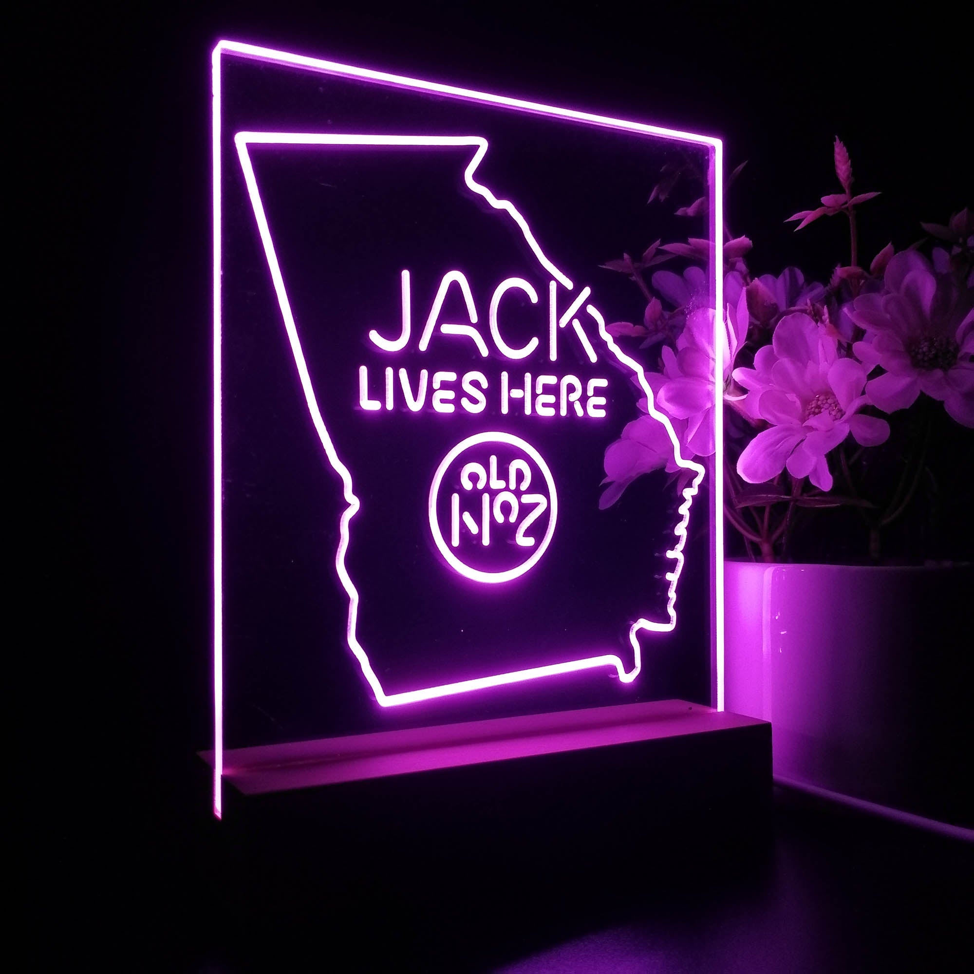 Georgia Jack Lives Here 3D LED Optical Illusion Night Light Table Lamp