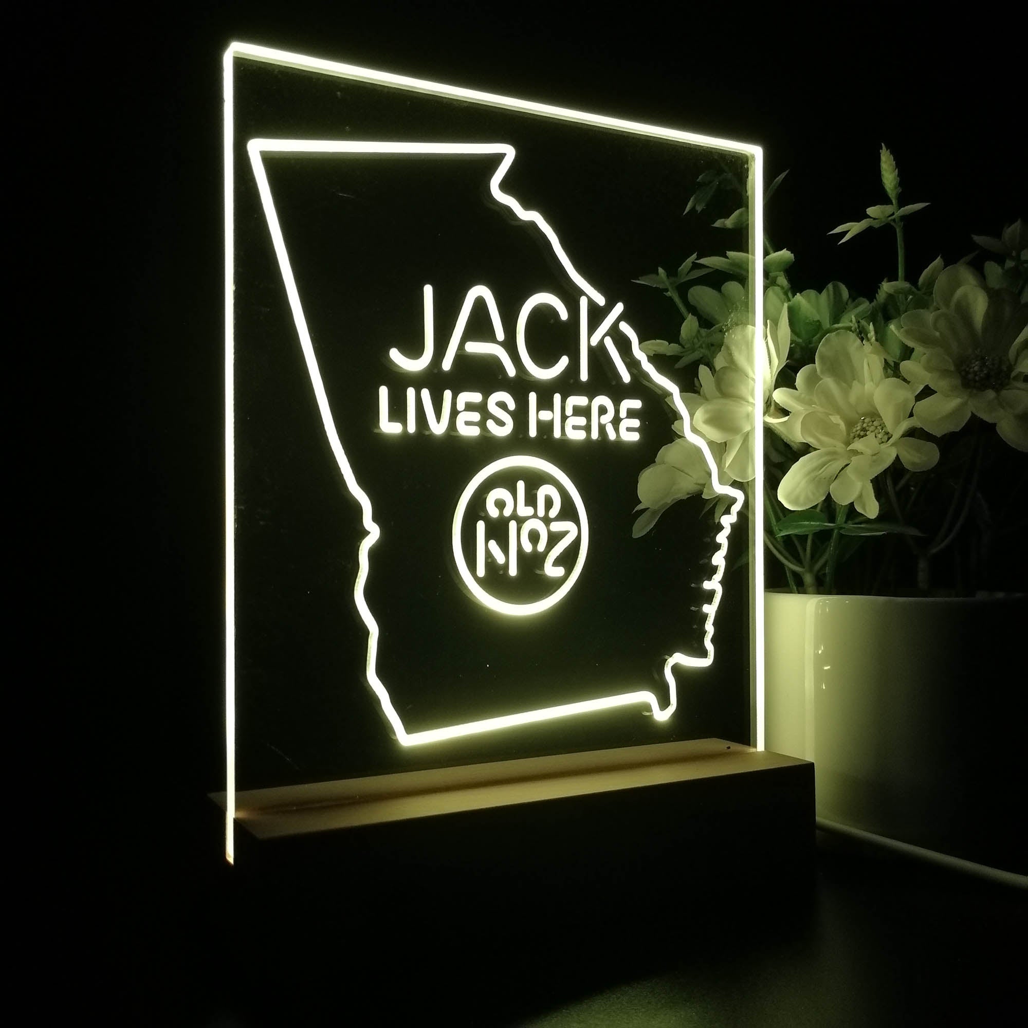 Georgia Jack Lives Here 3D LED Illusion Night Light Table Lamp