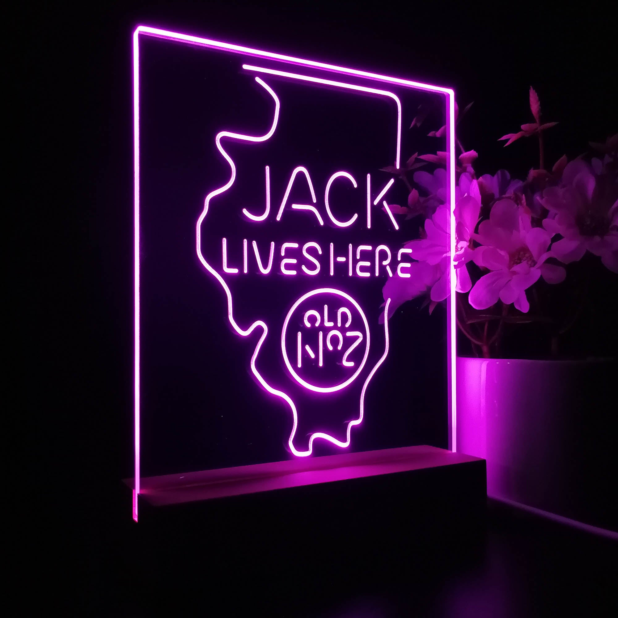 Illinois Jack Lives Here 3D LED Optical Illusion Night Light Table Lamp