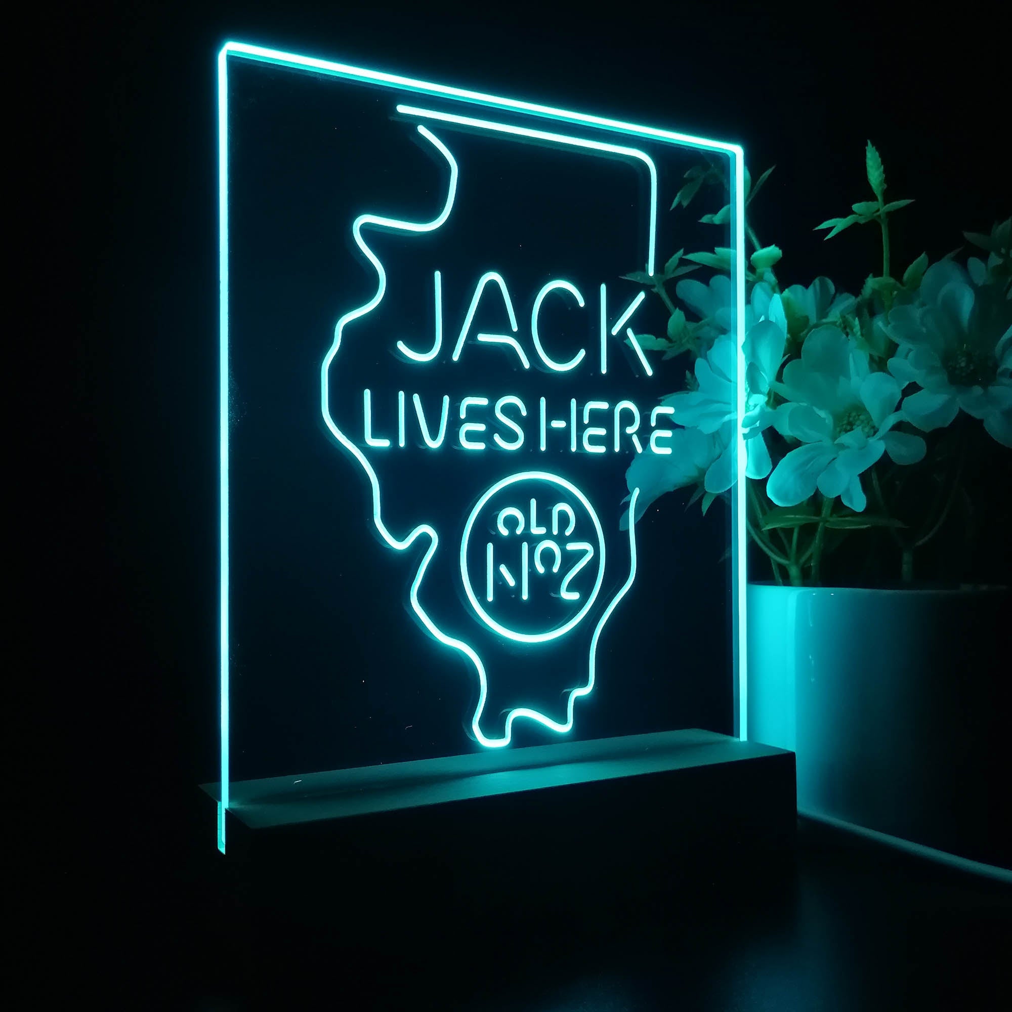 Illinois Jack Lives Here 3D LED Optical Illusion Night Light Table Lamp