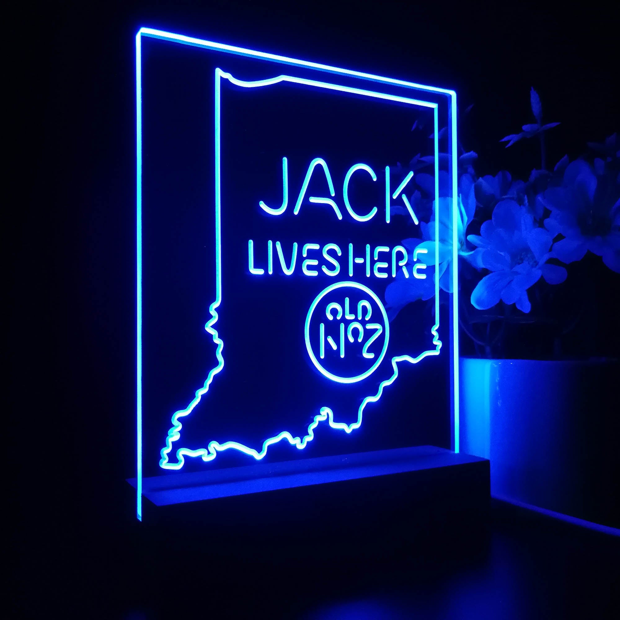 Indiana Jack Lives Here 3D LED Illusion Night Light Table Lamp