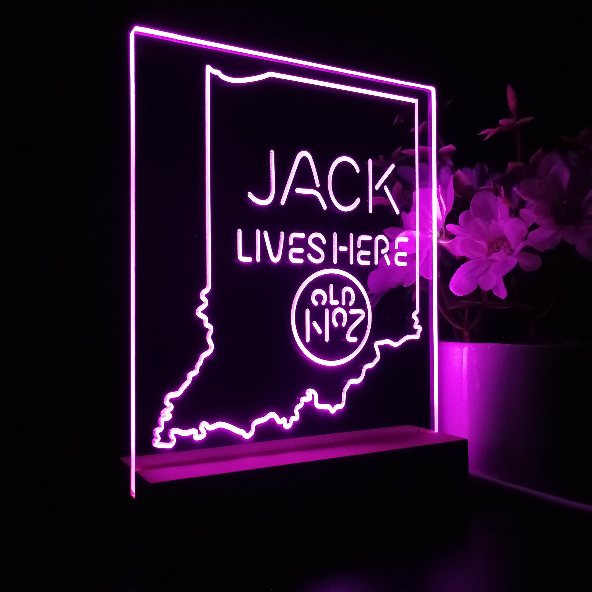 Indiana Jack Lives Here 3D LED Illusion Night Light Table Lamp