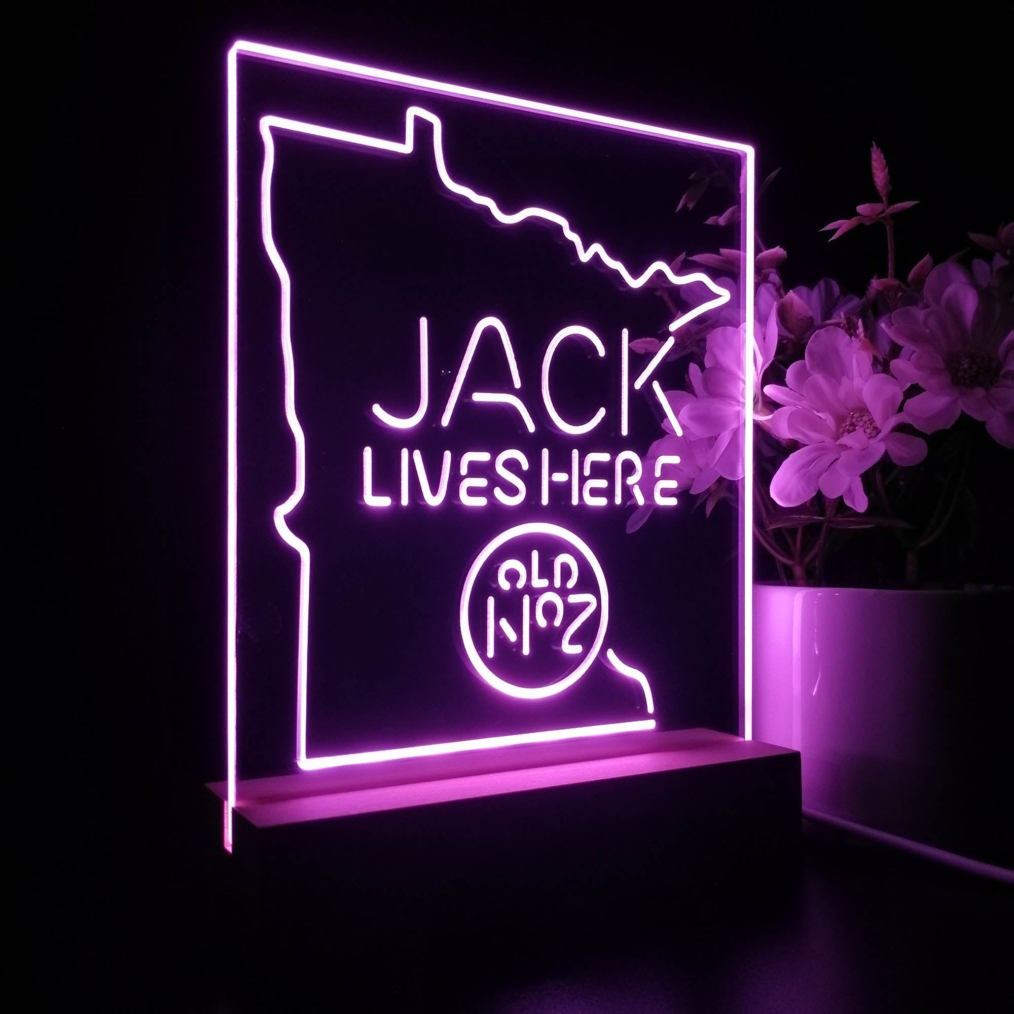 Minnesota Jack Lives Here 3D LED Illusion Night Light Table Lamp