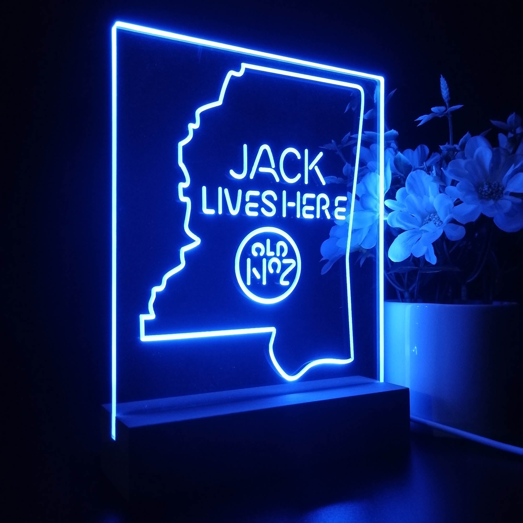 Mississippi Jack Lives Here 3D LED Optical Illusion Night Light Table Lamp