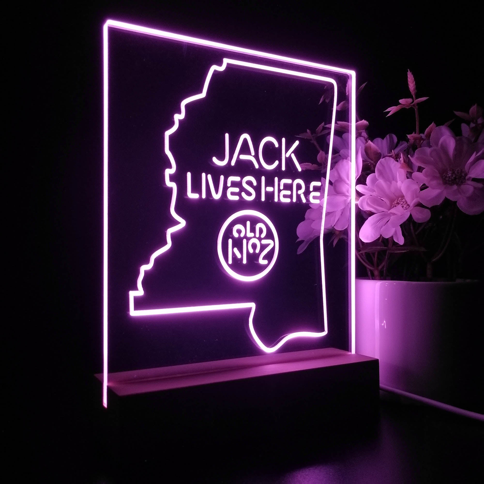 Mississippi Jack Lives Here 3D LED Optical Illusion Night Light Table Lamp
