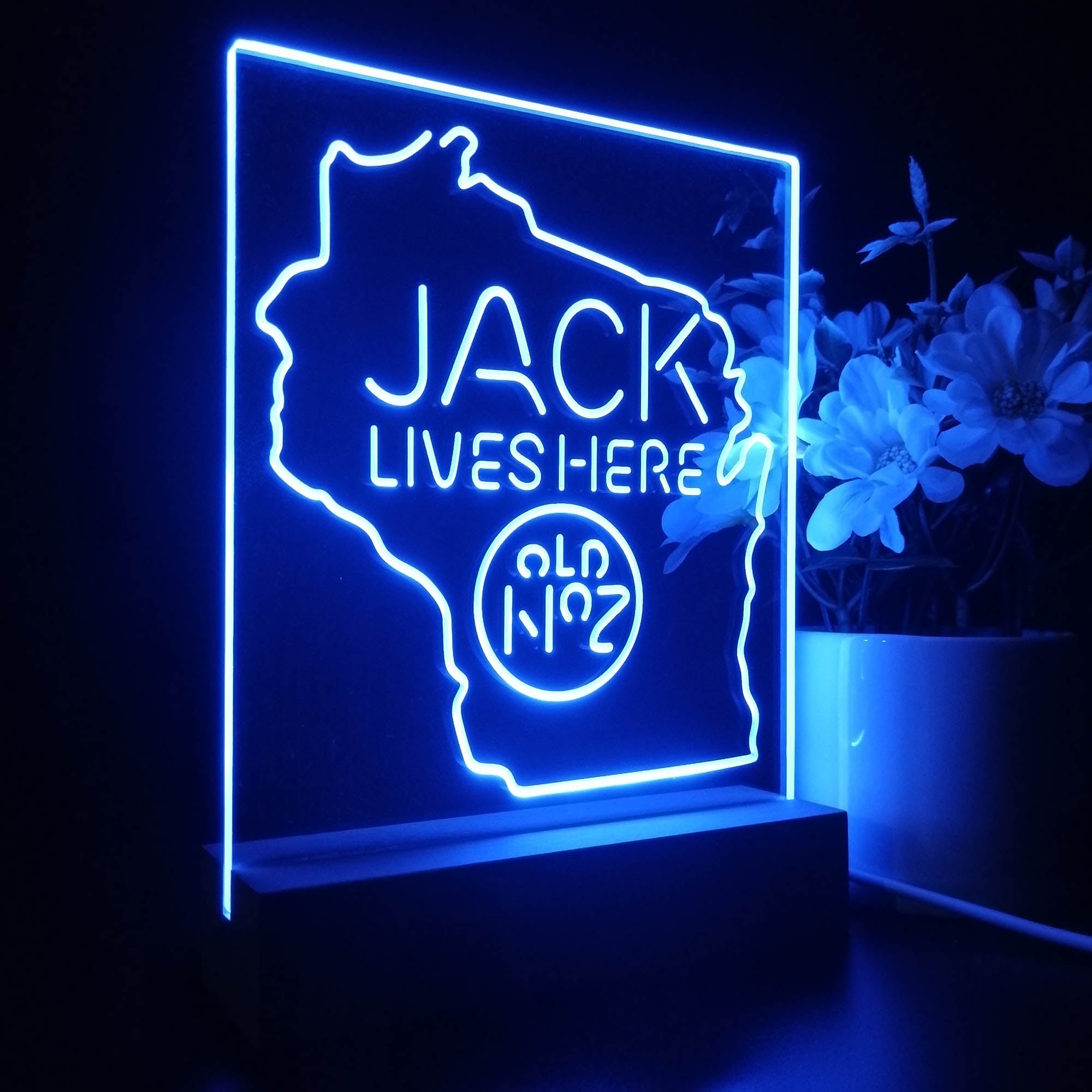 Wisconisin Jack Lives Here 3D LED Illusion Night Light Table Lamp