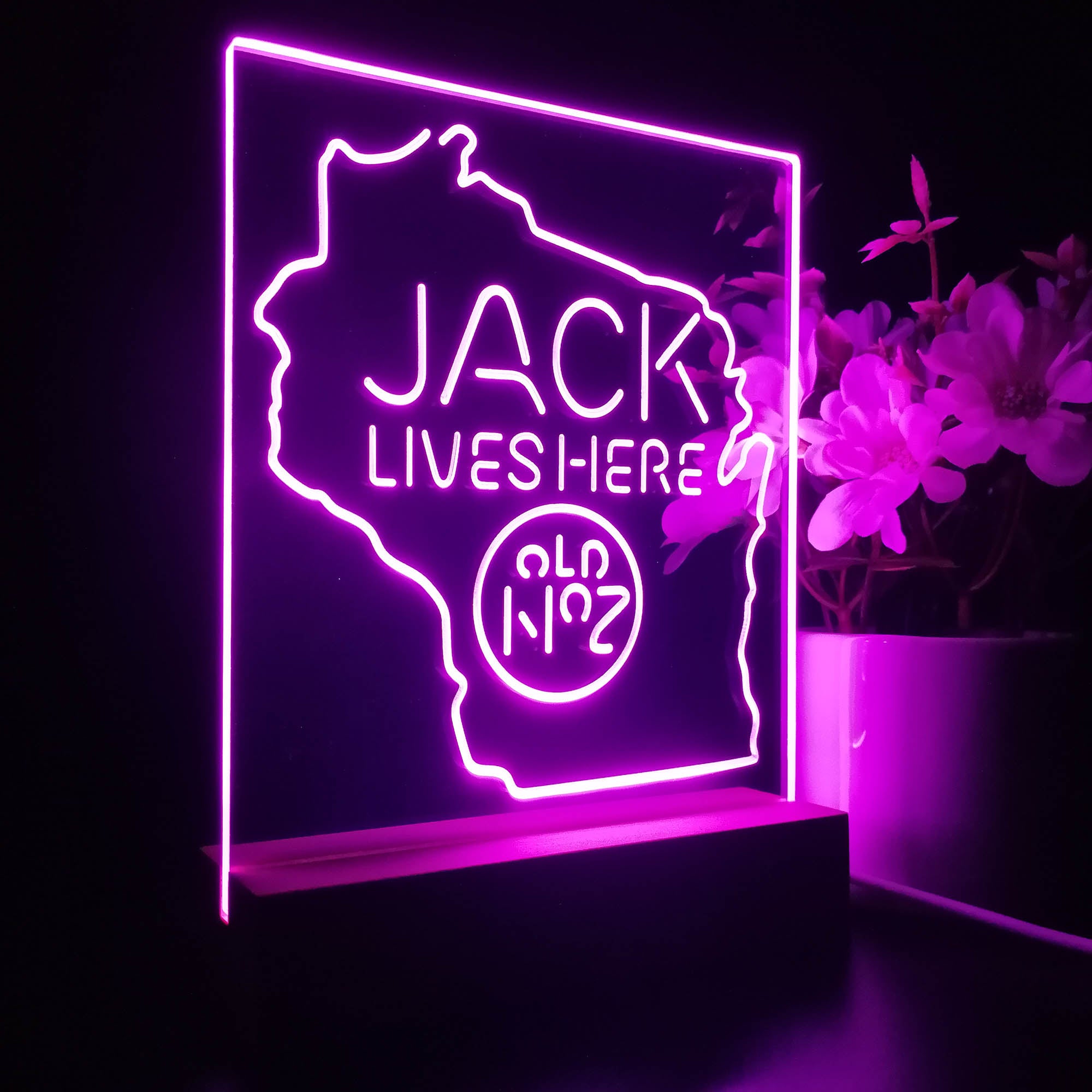 Wisconisin Jack Lives Here 3D LED Illusion Night Light Table Lamp