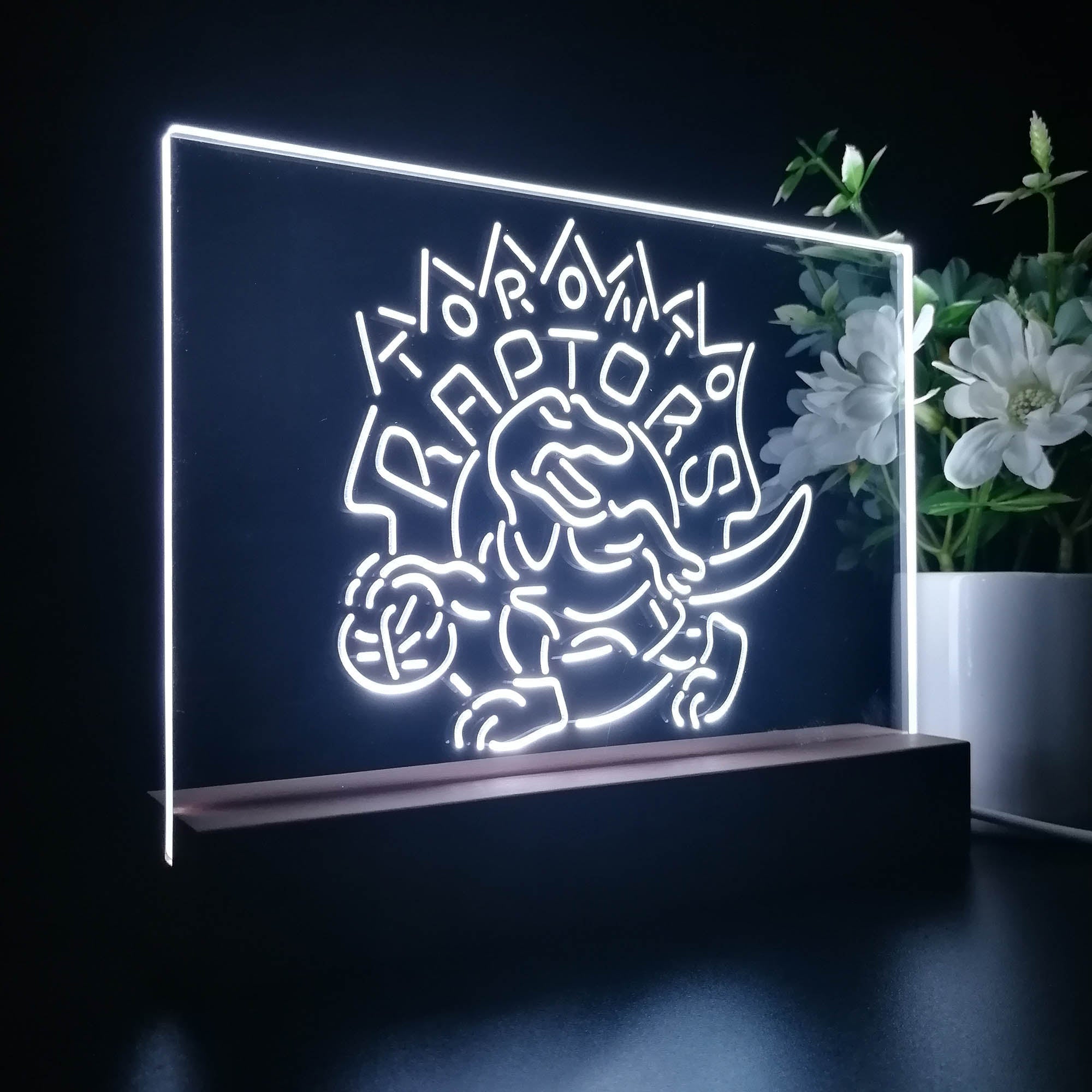 Toronto Raptors Basketball NBA 3D LED Illusion Sport Team Night Light