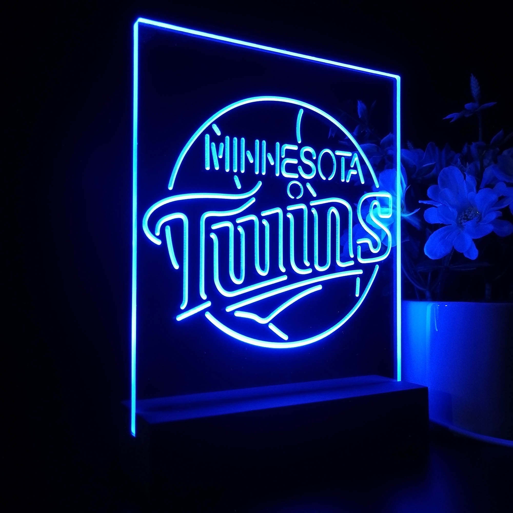 Minnesota Twins 3D LED Illusion Sport Team Night Light