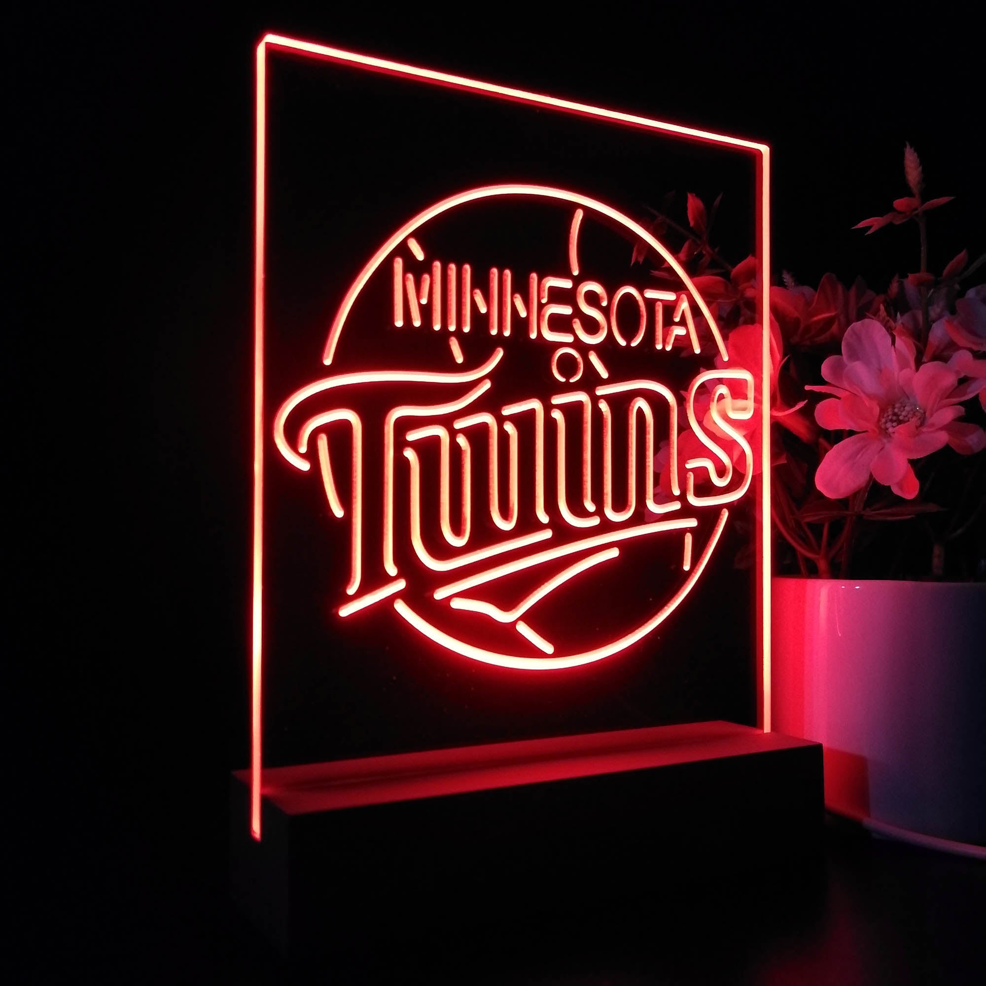 Minnesota Twins 3D LED Illusion Sport Team Night Light