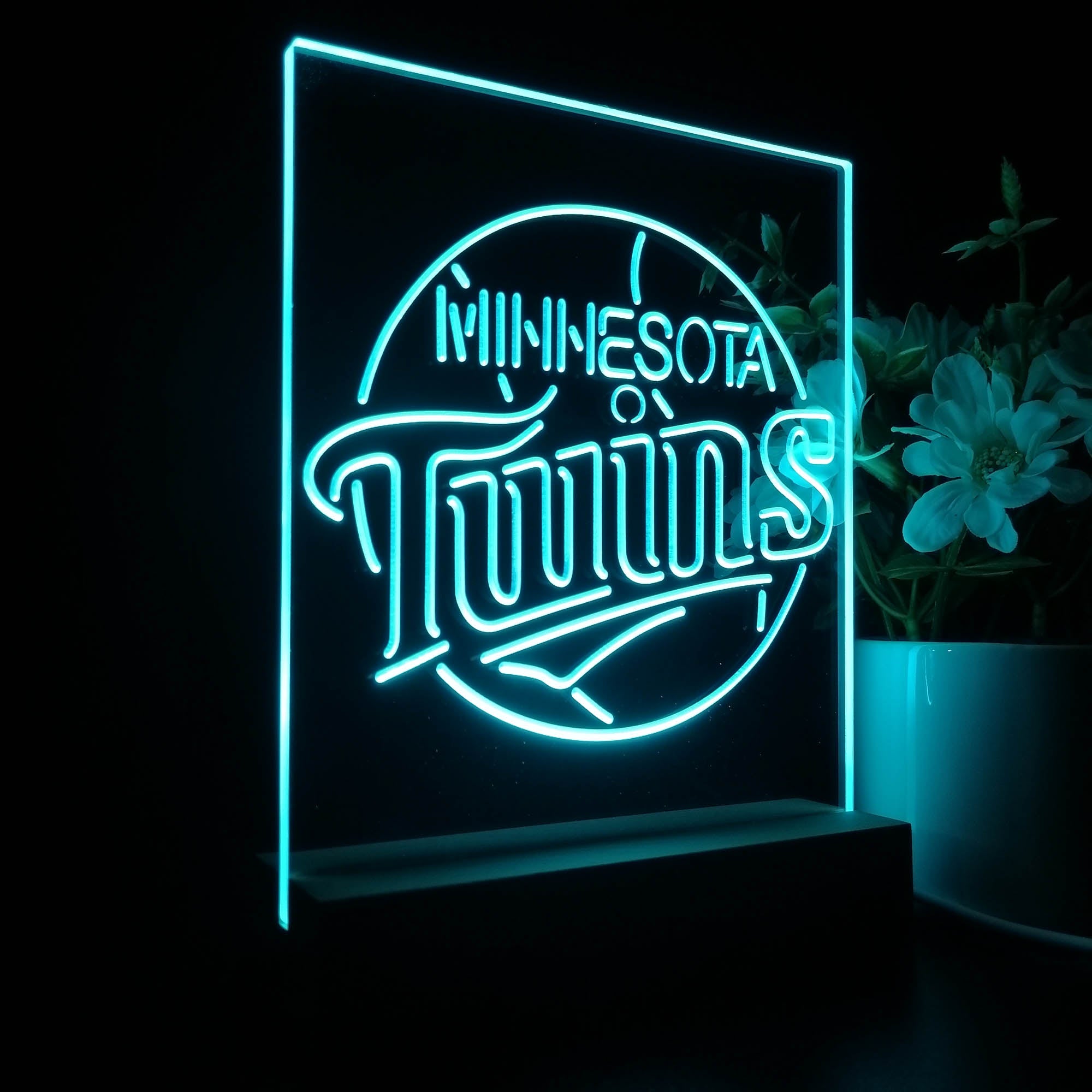 Minnesota Twins 3D LED Illusion Sport Team Night Light