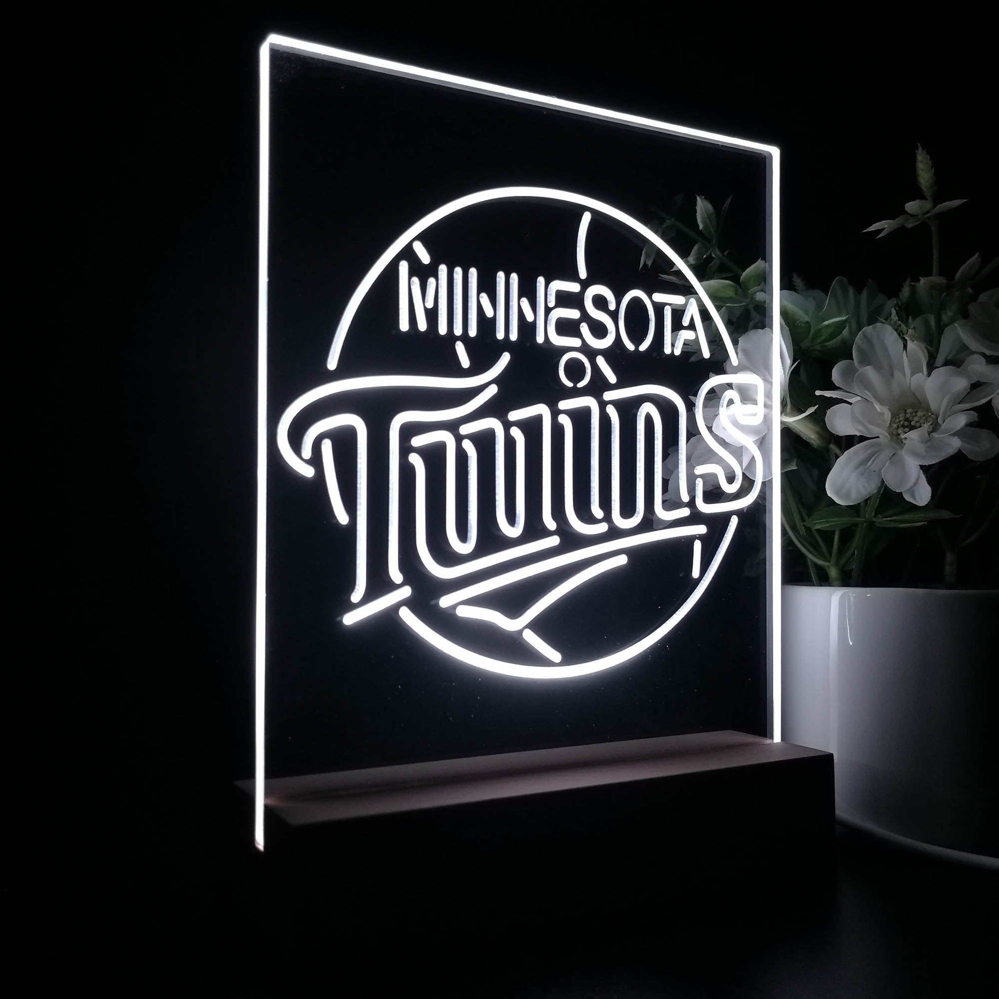 Minnesota Twins 3D LED Illusion Sport Team Night Light