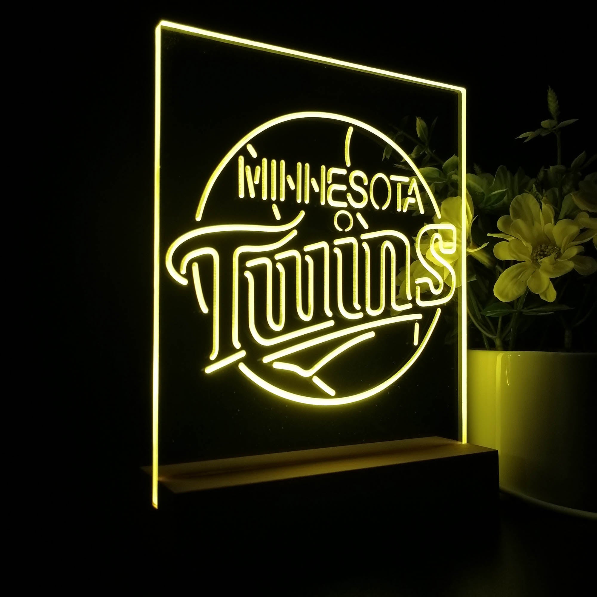 Minnesota Twins 3D LED Illusion Sport Team Night Light