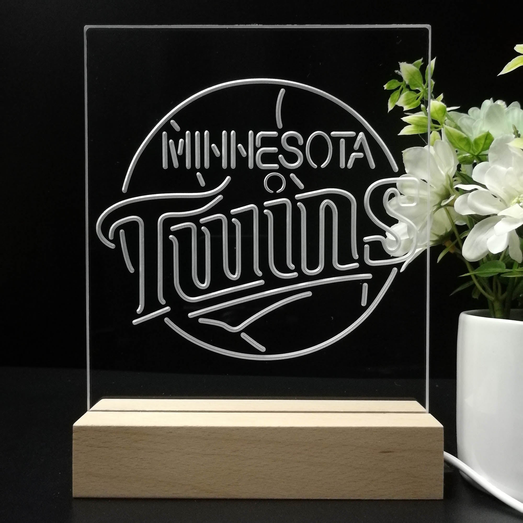 Minnesota Twins 3D LED Illusion Sport Team Night Light