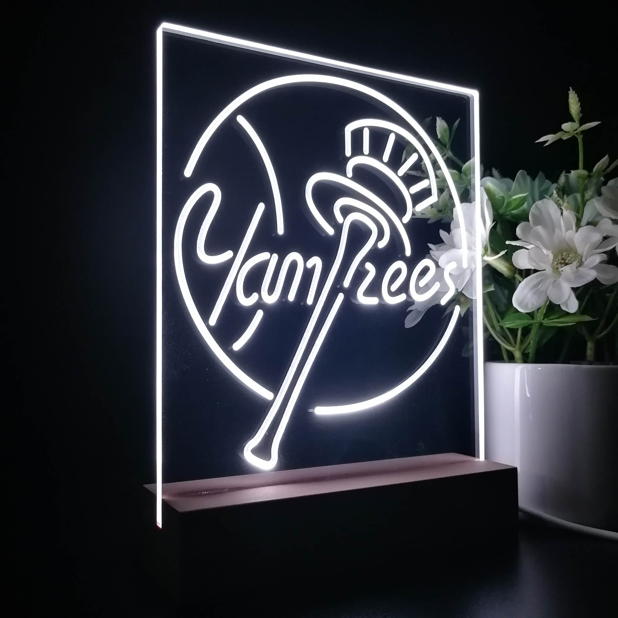 New York Yankees 3D LED Illusion Sport Team Night Light