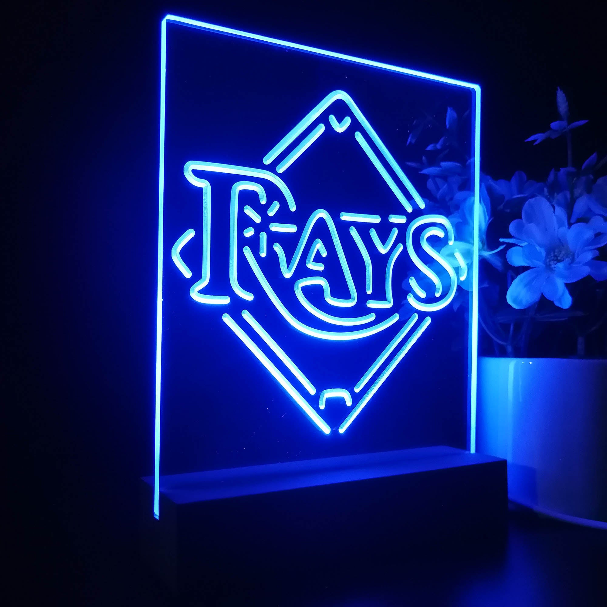 Tampa Bay Rays 3D LED Illusion Sport Team Night Light