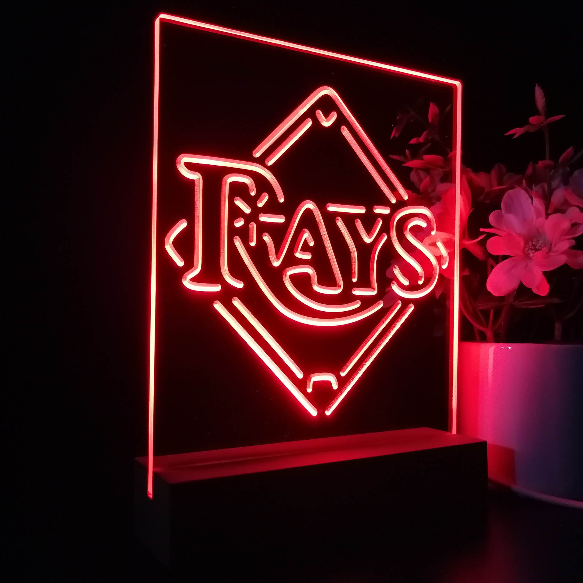 Tampa Bay Rays 3D LED Illusion Sport Team Night Light