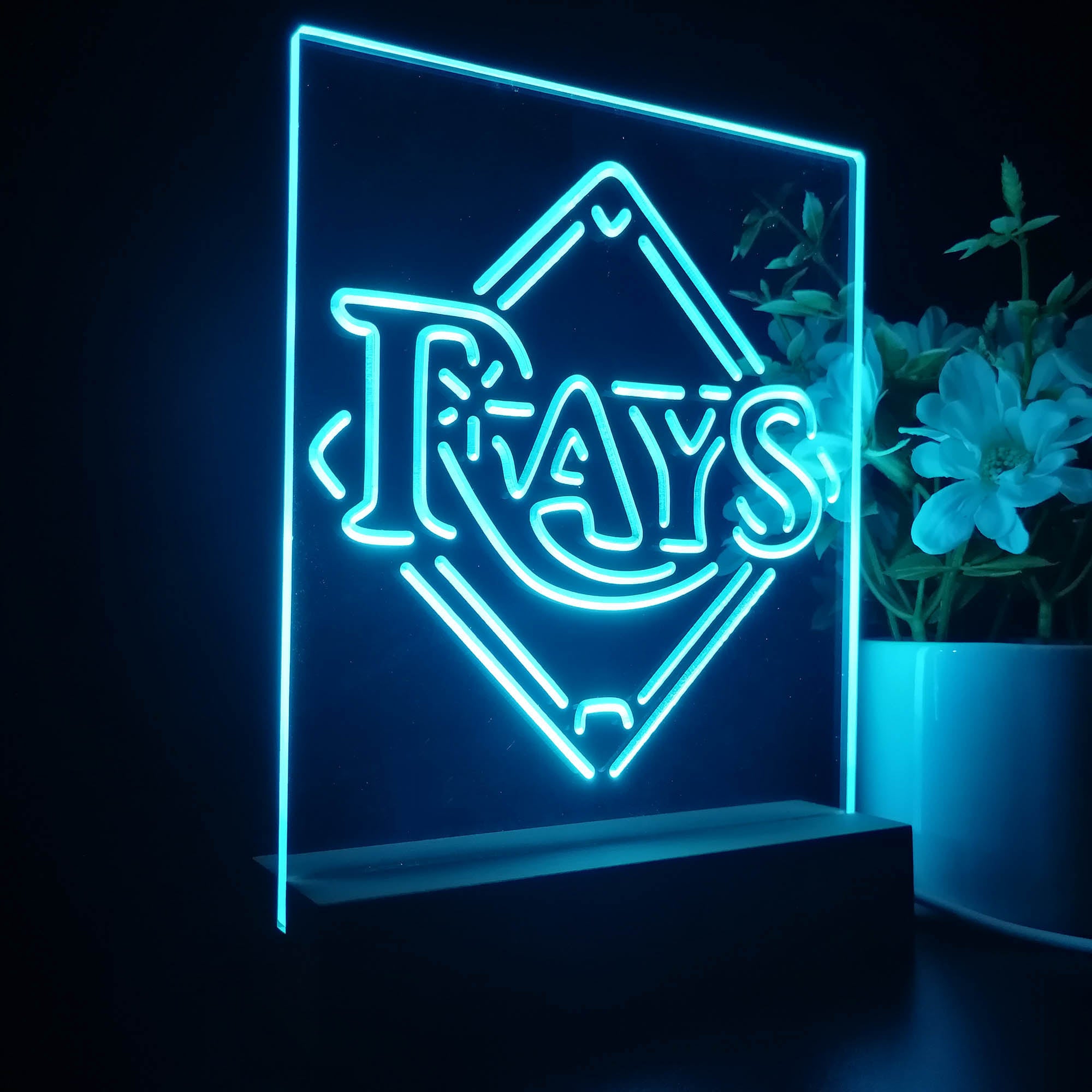 Tampa Bay Rays 3D LED Illusion Sport Team Night Light