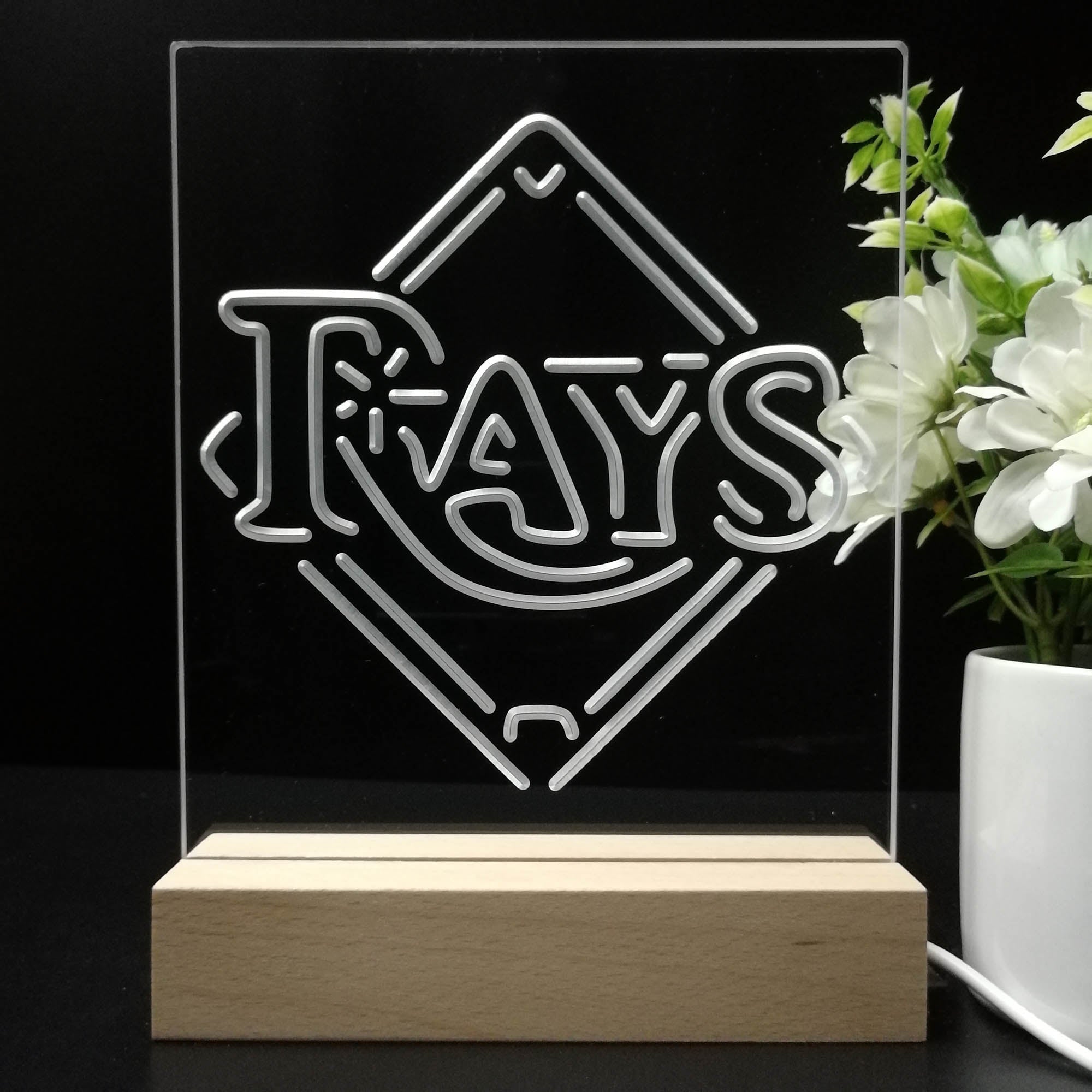 Tampa Bay Rays 3D LED Illusion Sport Team Night Light