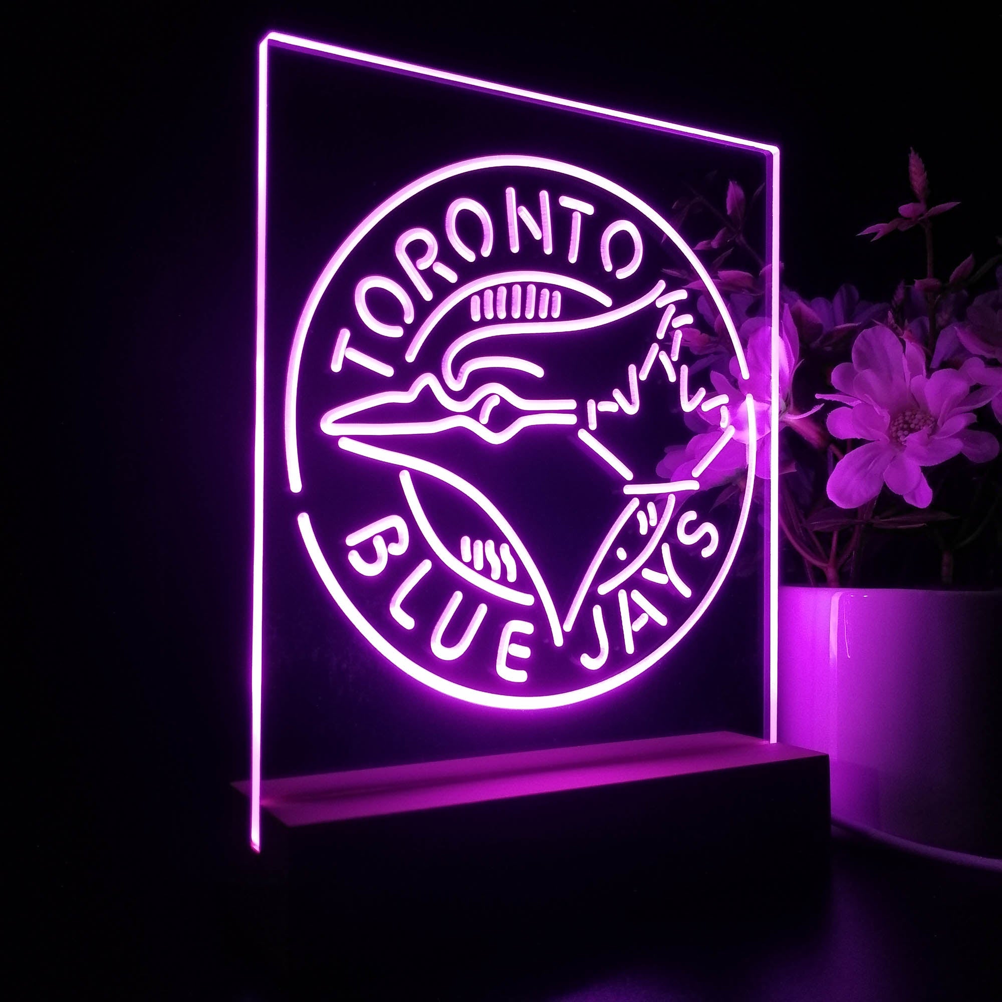 Toronto Blue Jays 3D LED Illusion Sport Team Night Light