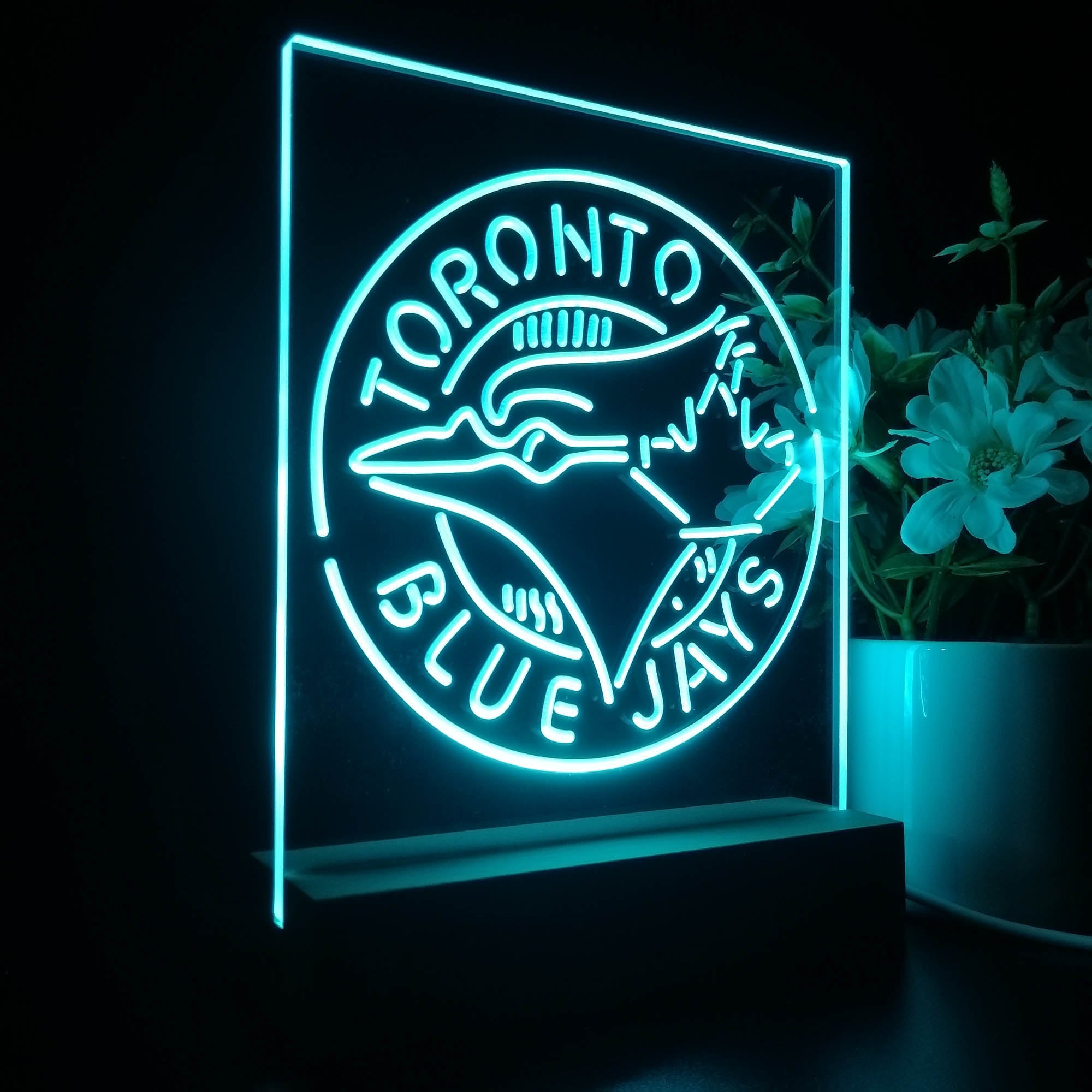 Toronto Blue Jays 3D LED Illusion Sport Team Night Light