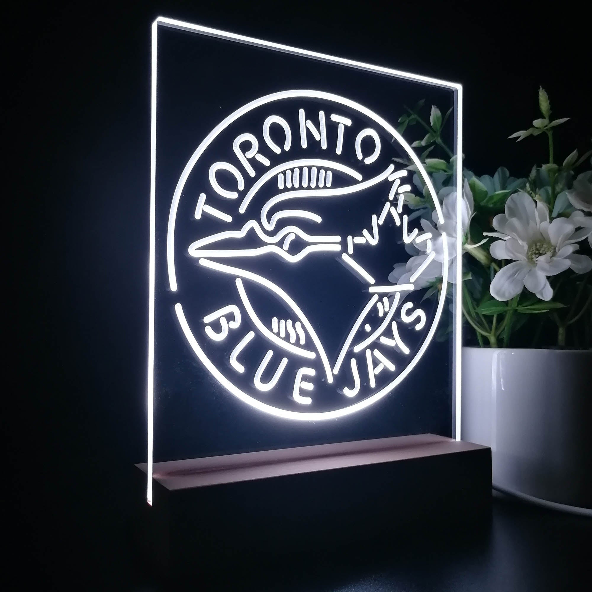 Toronto Blue Jays 3D LED Illusion Sport Team Night Light