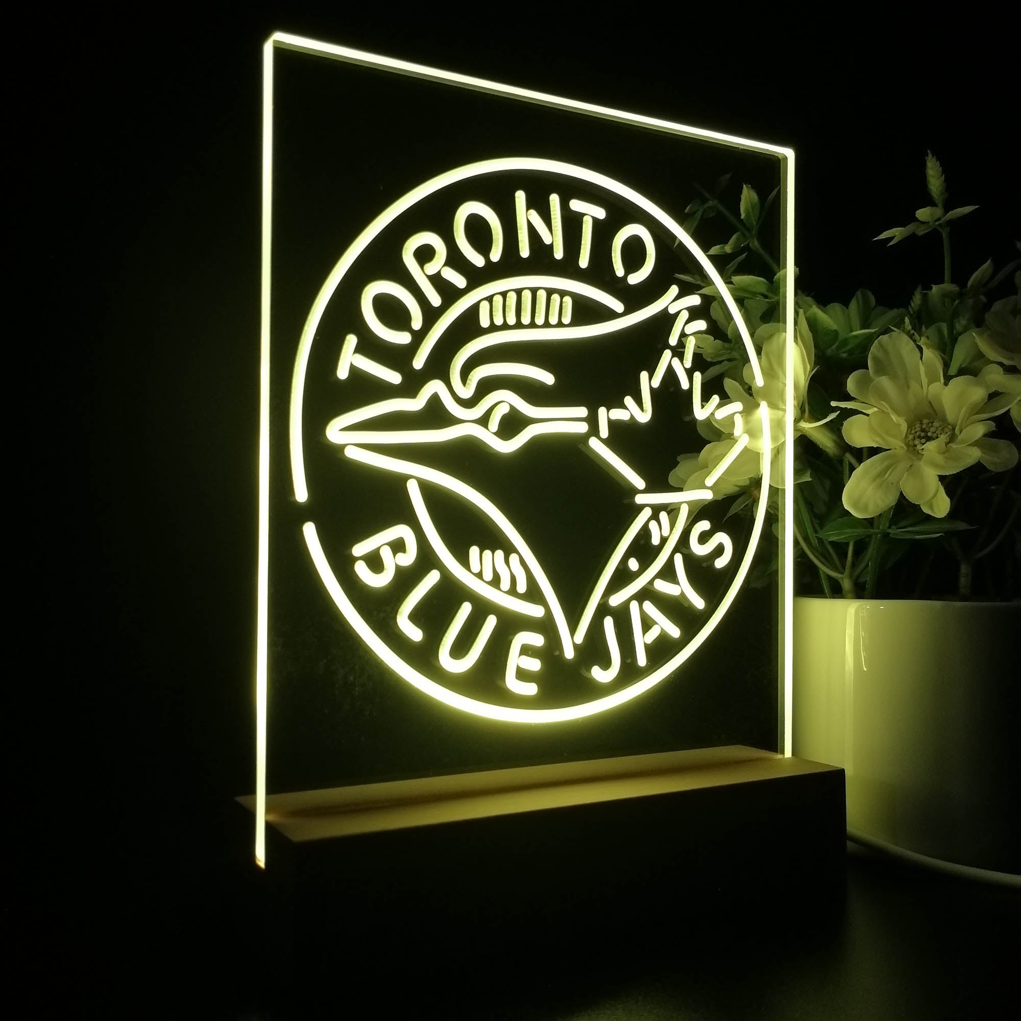 Toronto Blue Jays 3D LED Illusion Sport Team Night Light