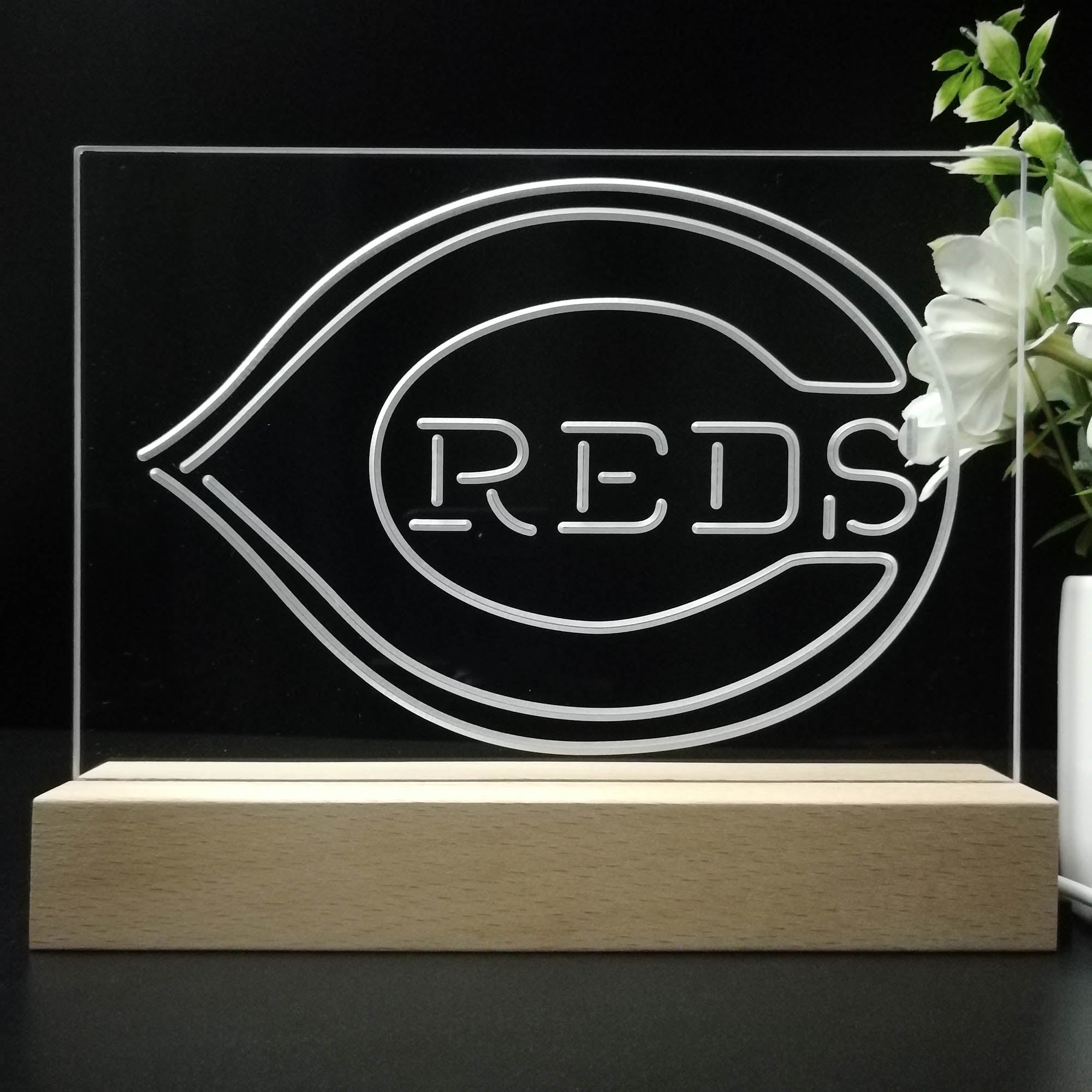 Cincinnati Reds 3D LED Illusion Sport Team Night Light