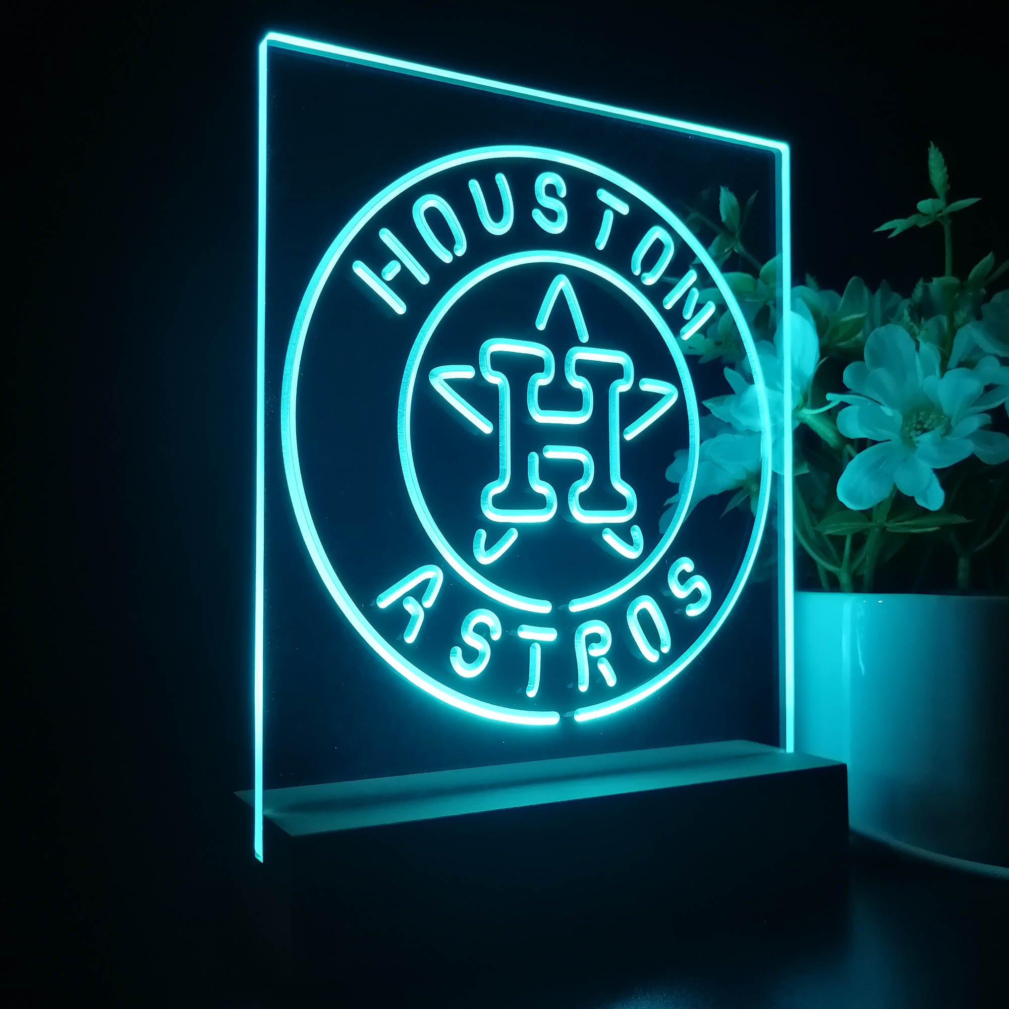 Houston Astros 3D LED Illusion Sport Team Night Light