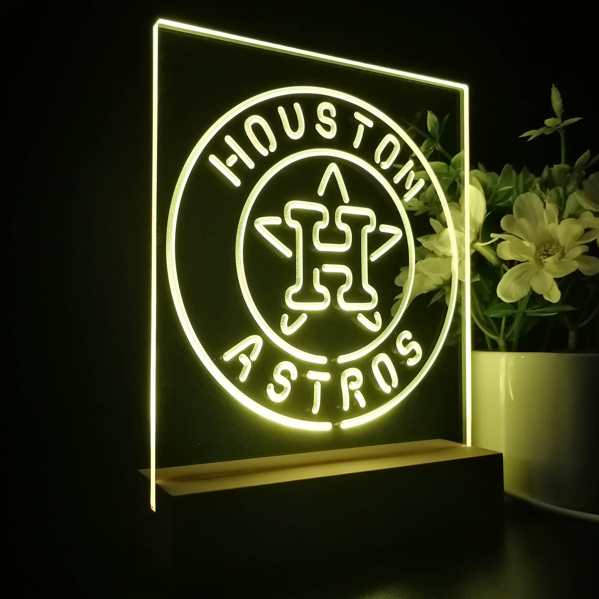 Houston Astros 3D LED Illusion Sport Team Night Light