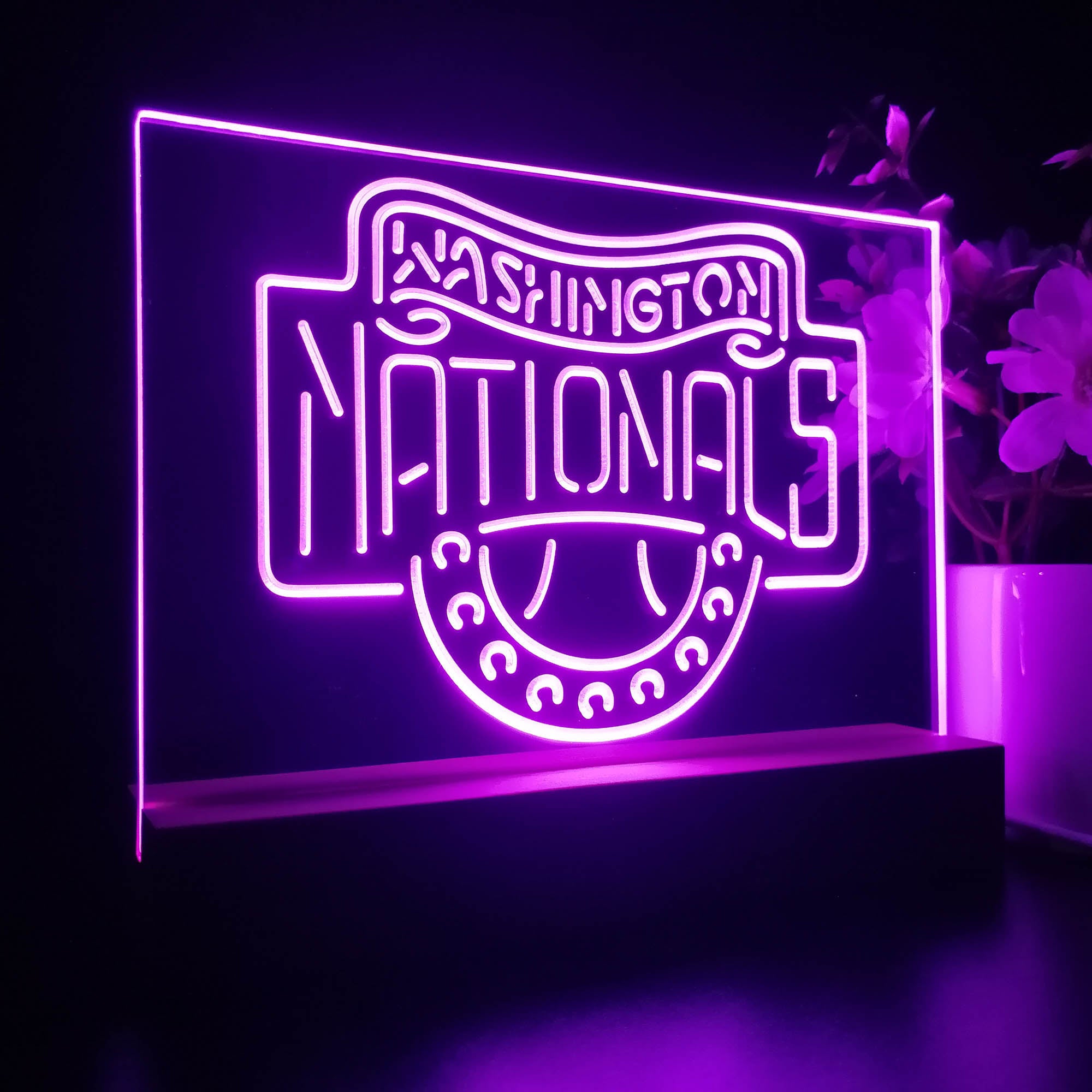 Washington Nationals 3D LED Illusion Sport Team Night Light