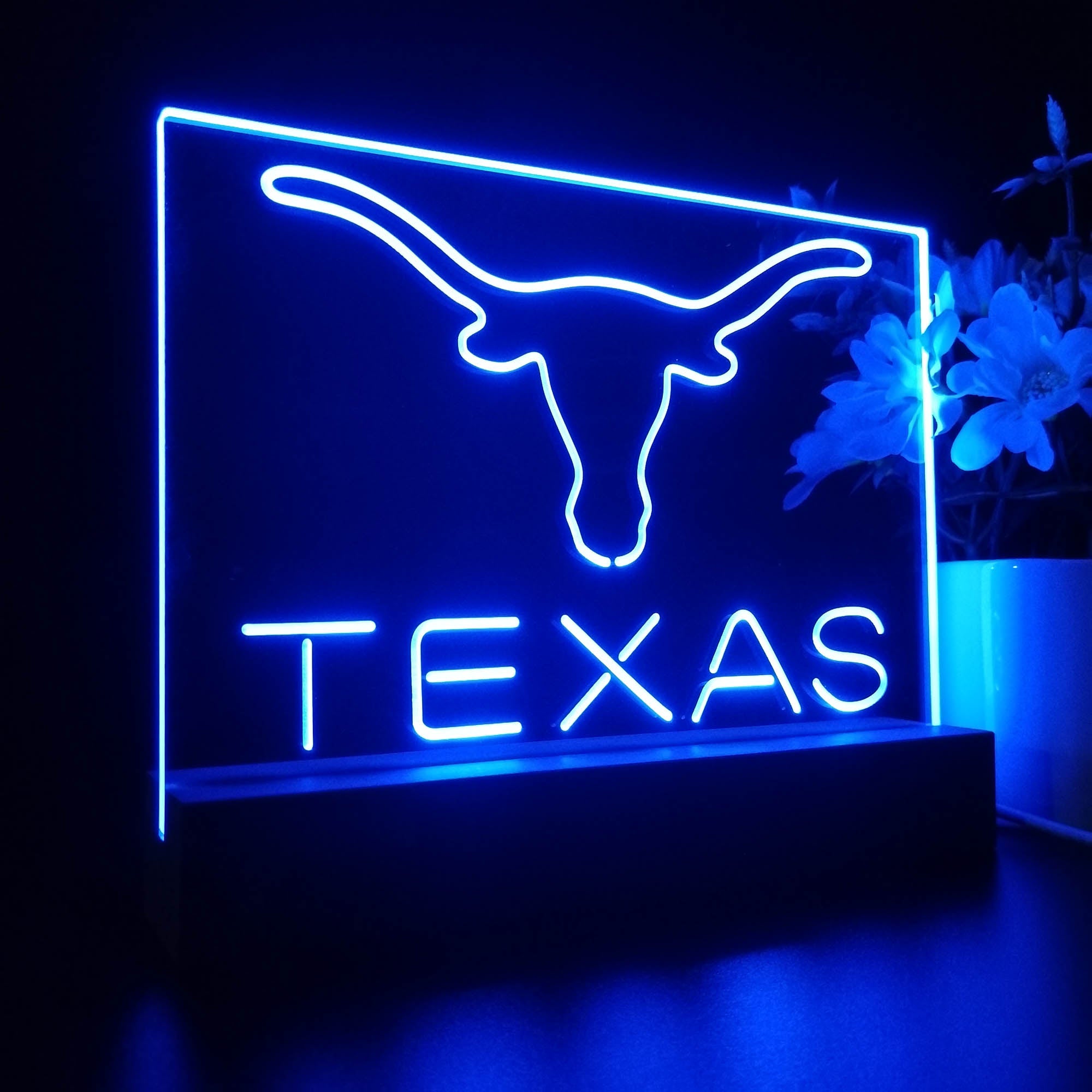 Texas Longhorns 3D LED Illusion Sport Team Night Light