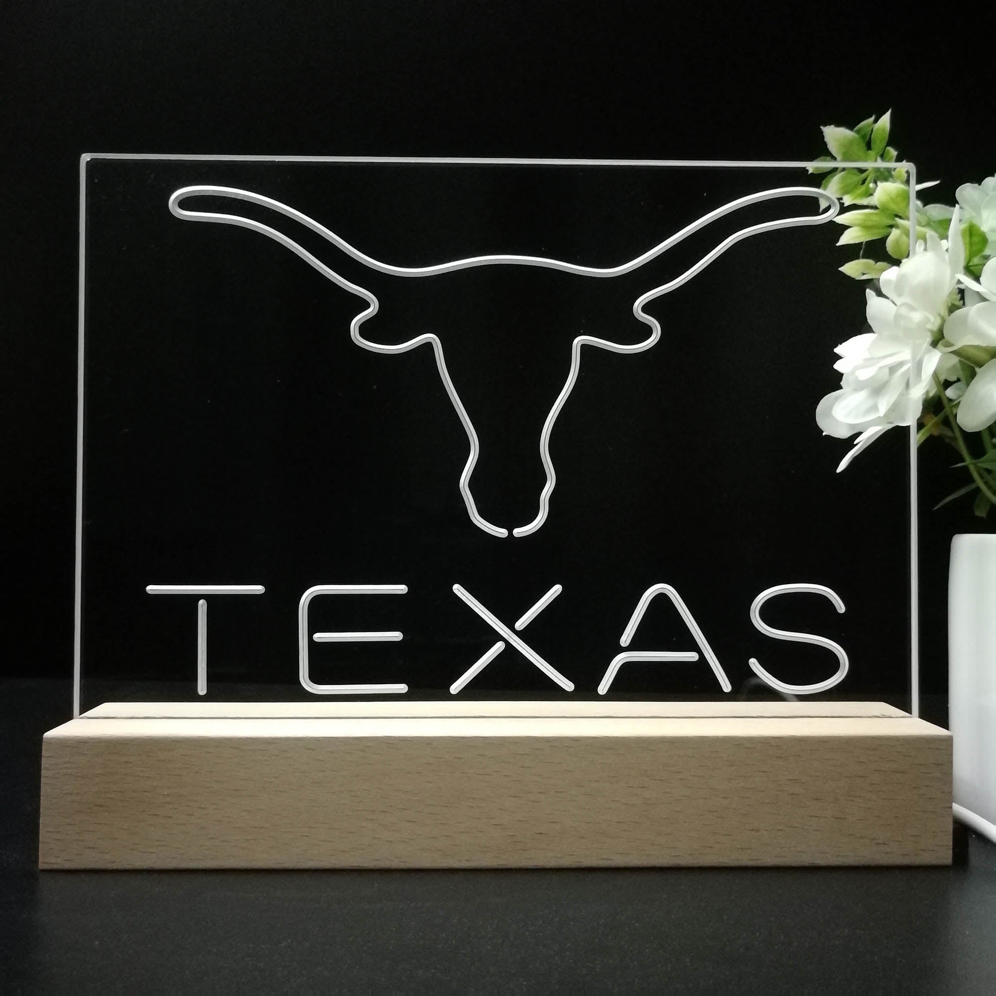 Texas Longhorns 3D LED Illusion Sport Team Night Light