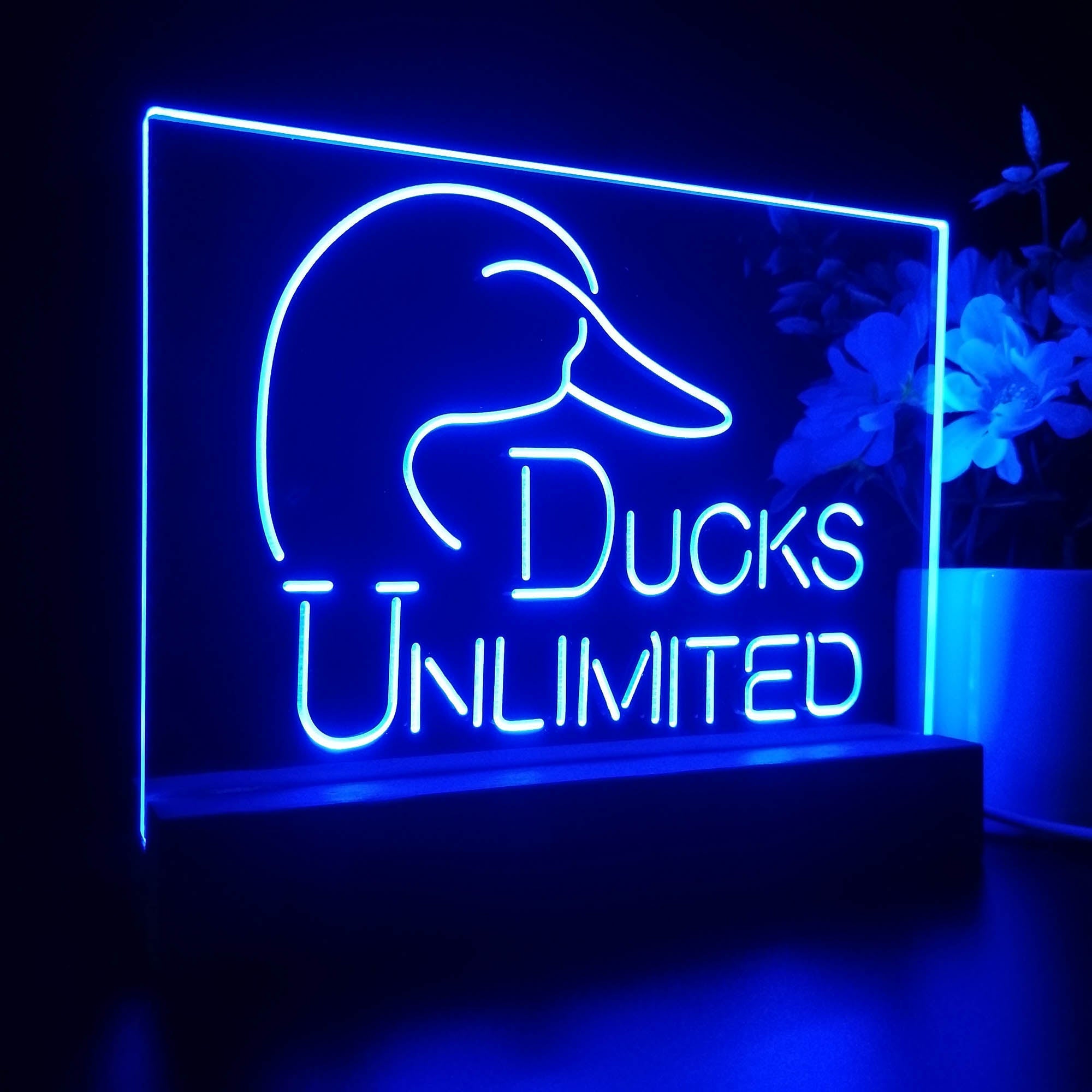 Ducks Unlimited 3D LED Optical Illusion Sport Team Night Light