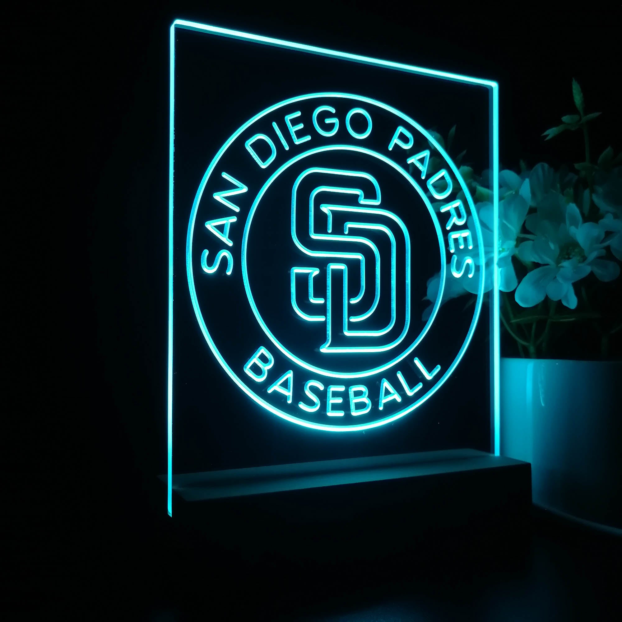 SDP Baseball 3D LED Illusion Sport Team Night Light